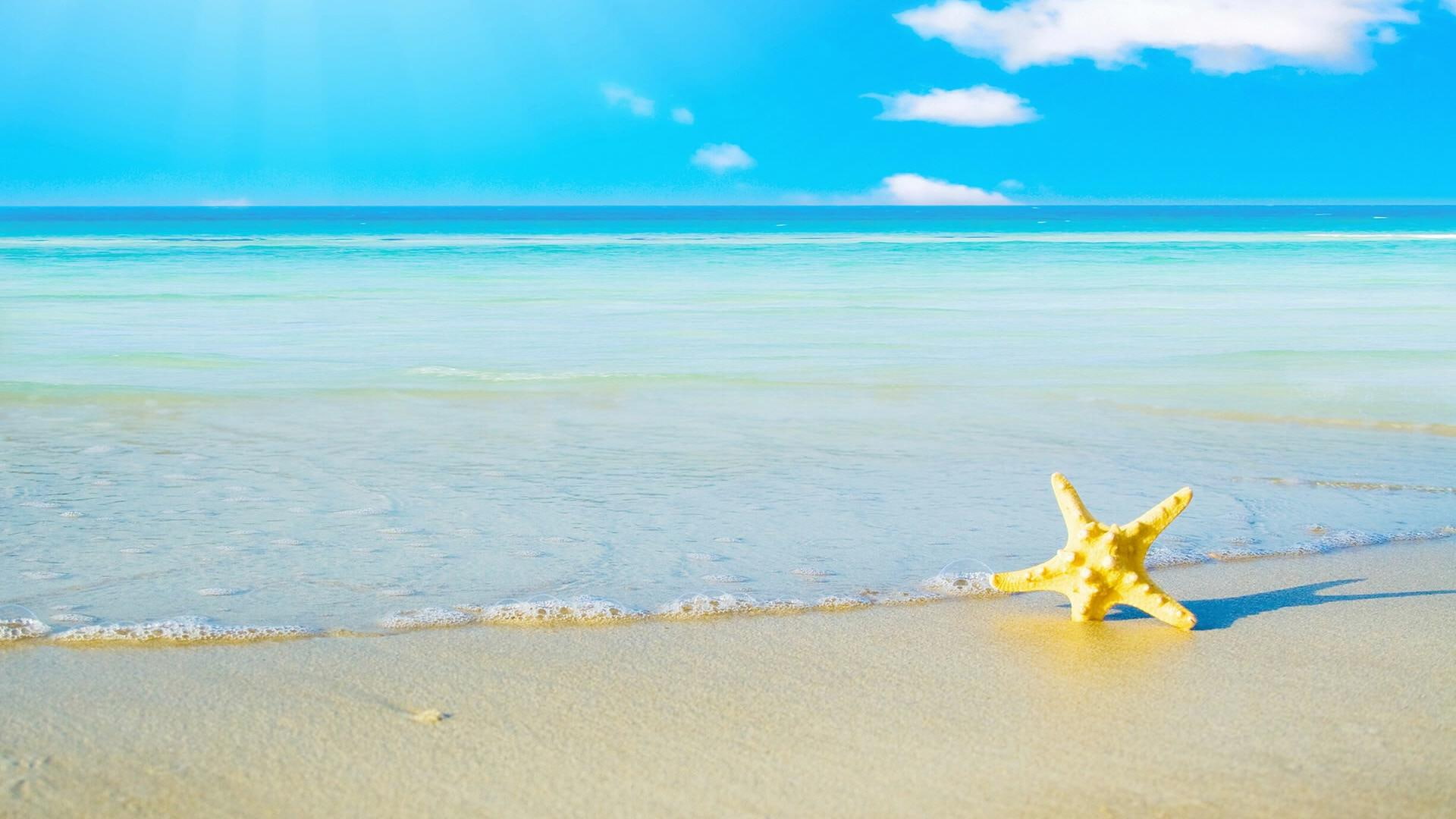 beach, 1080P, vacation, summer, yellow, nature and landscapes, sand, starfish, HD Wallpaper