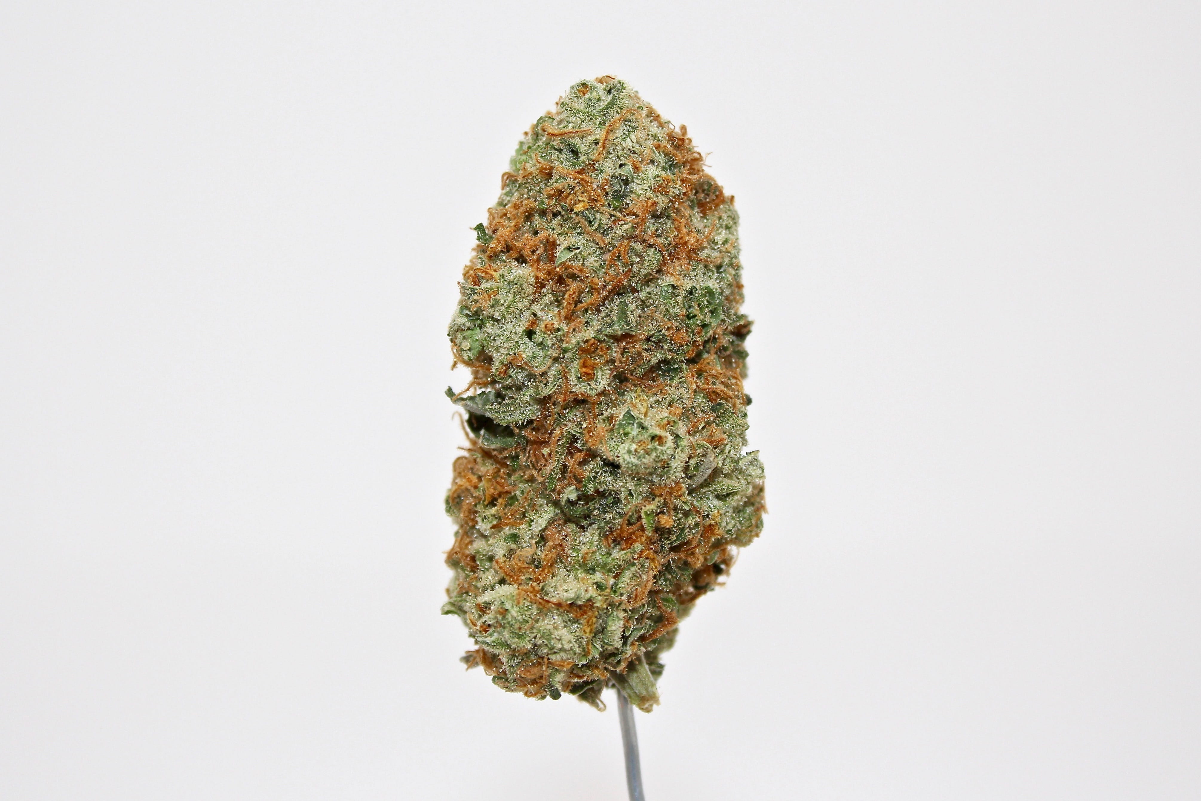 cut out, plant, marijuana - herbal cannabis, food and drink, thc, no people, studio shot, stoner, close-up, medicine, healthcare and medicine, dank, herb, HD Wallpaper