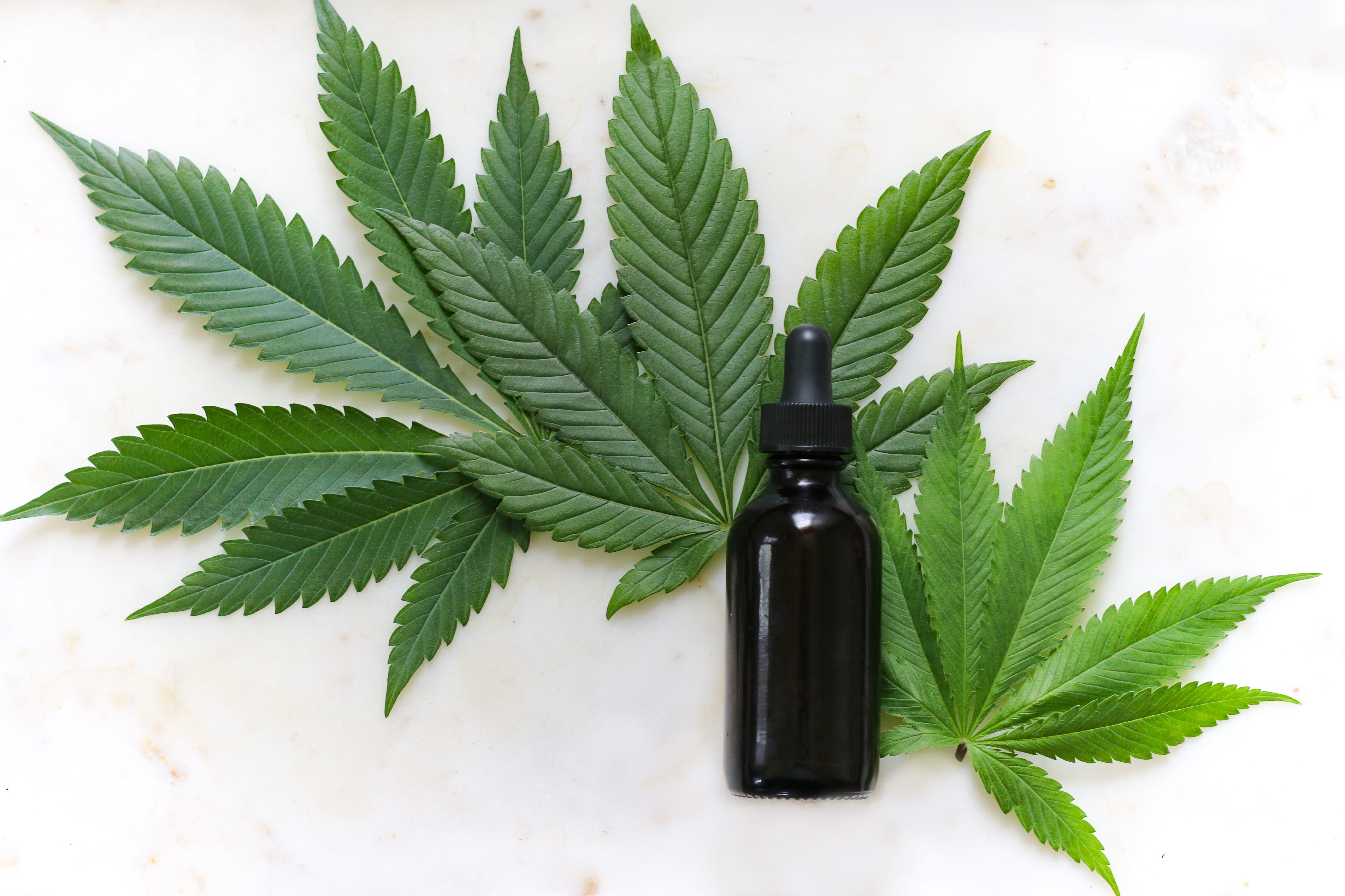 bottle, cannabis tincture, marijuana, cannabis, green color, no people, united states, food, mint leaf - culinary, cbd tincture, plant part, tincture, plant, HD Wallpaper