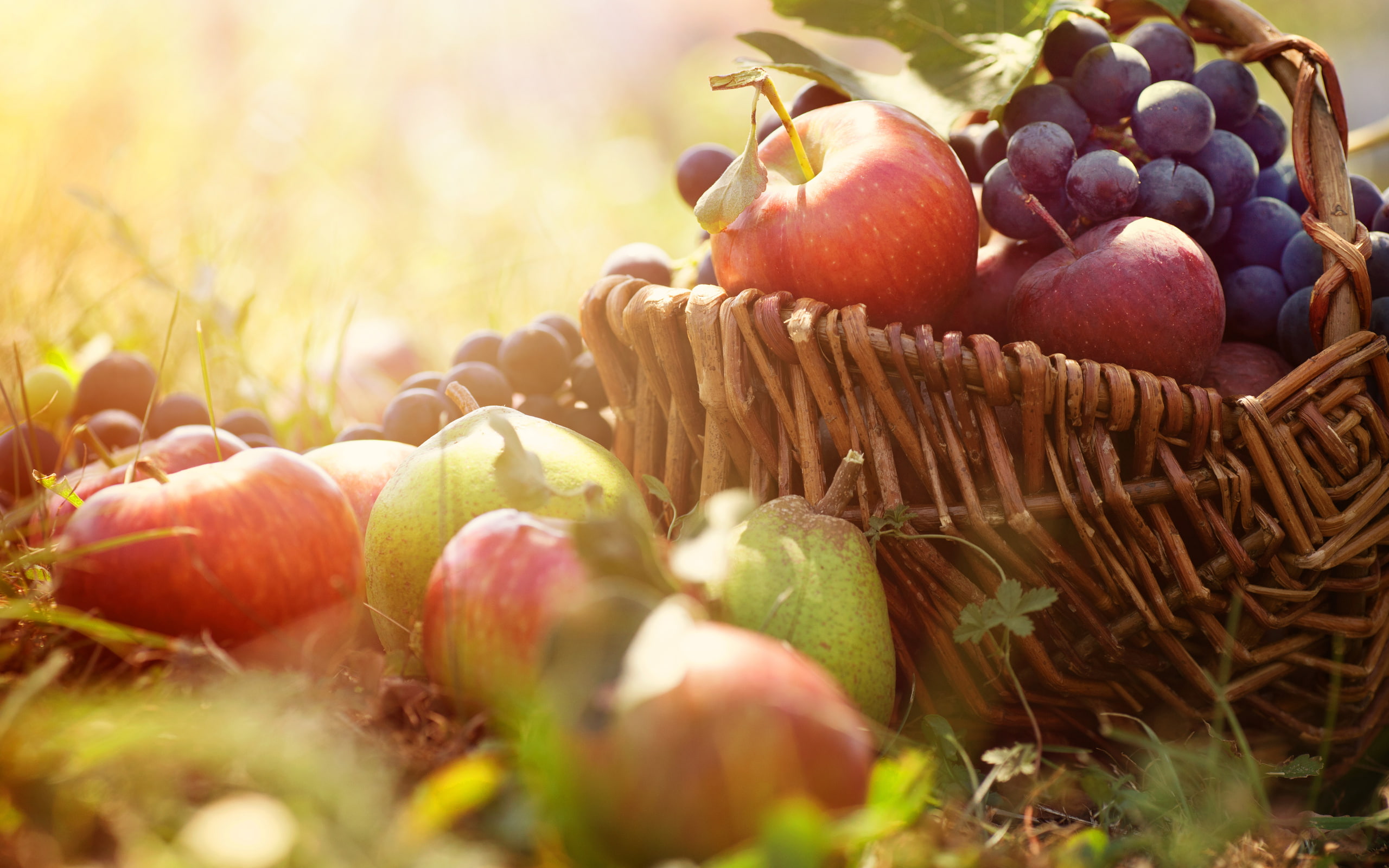 2K, basket, fruits, nature and landscape, HD Wallpaper