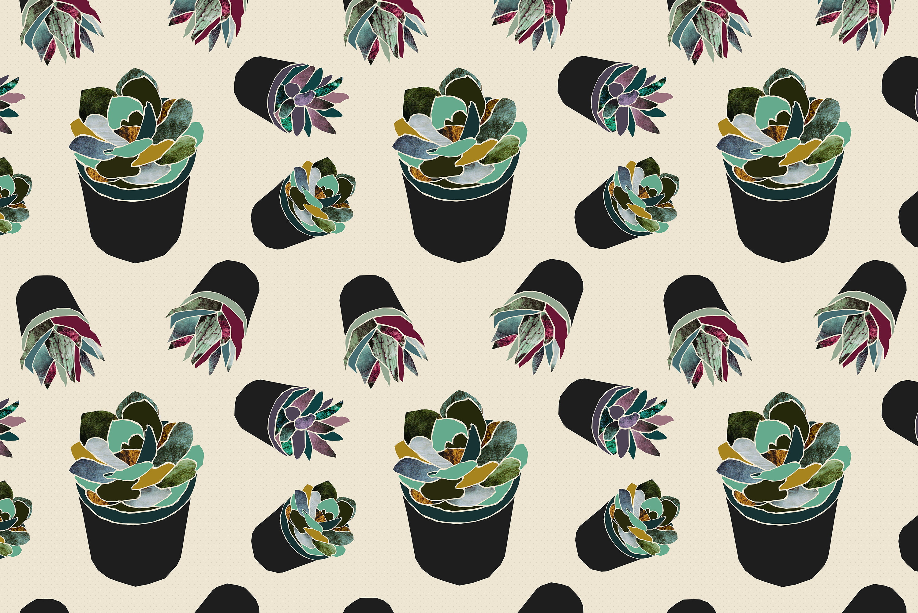 succulent, pattern, 2K, lights, plants, HD Wallpaper