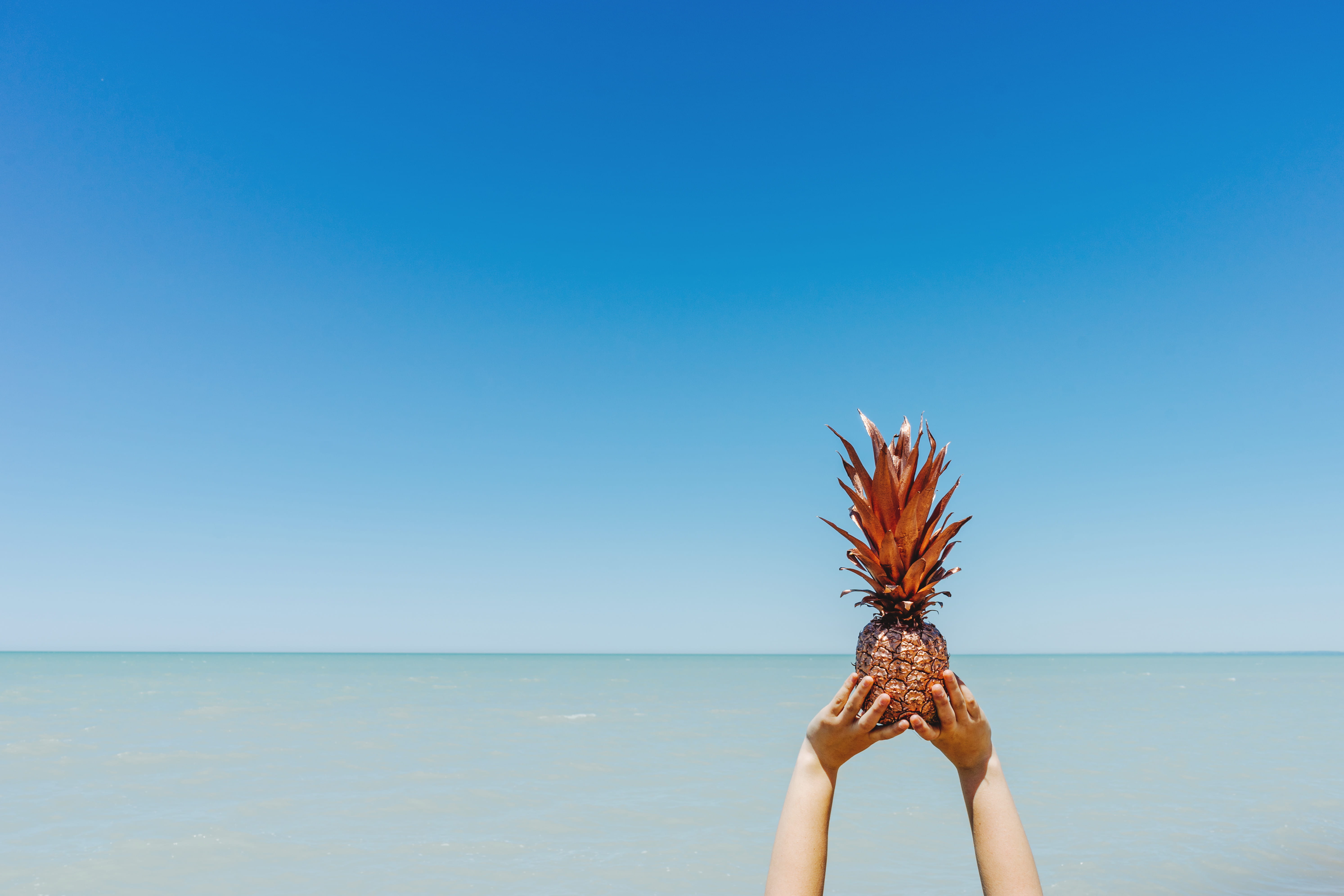 human limb, people, trip, land, holiday, holding, 5K, women, vacations, human hand, beach, clear sky, water, horizon, blue, summer, sea, nature, pineapple, HD Wallpaper