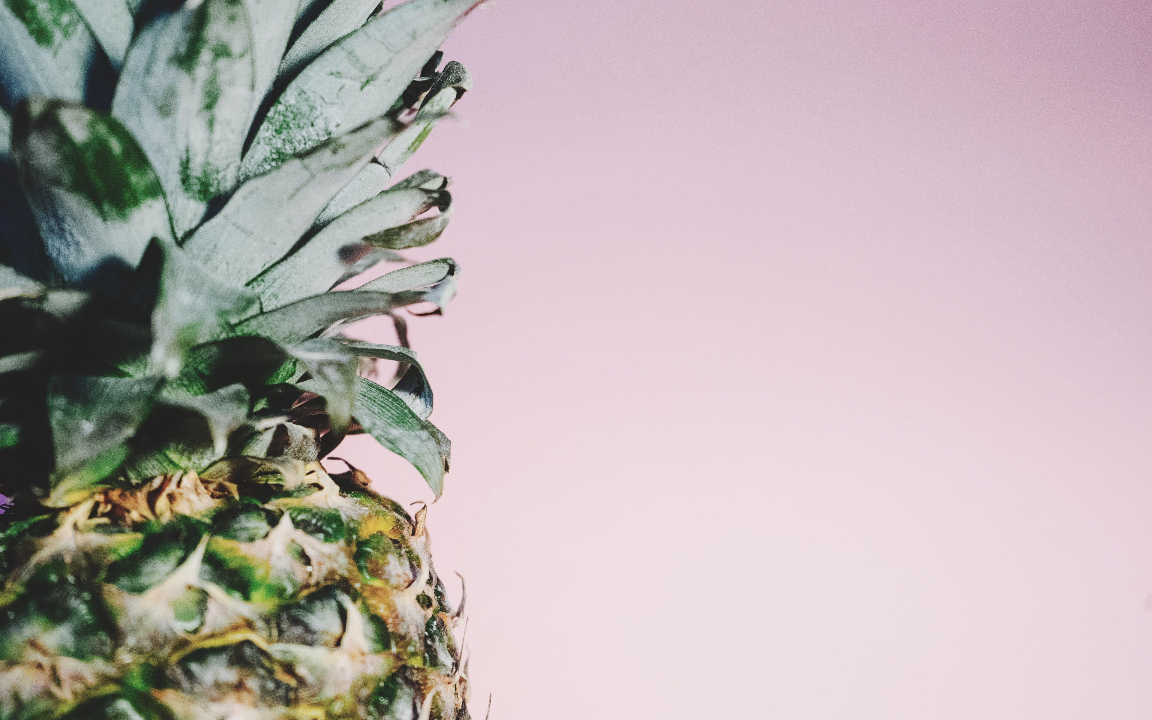 minimalism, pineapple, 4K, fruit backgrounds, download 3840x2400 pineapple, HD Wallpaper