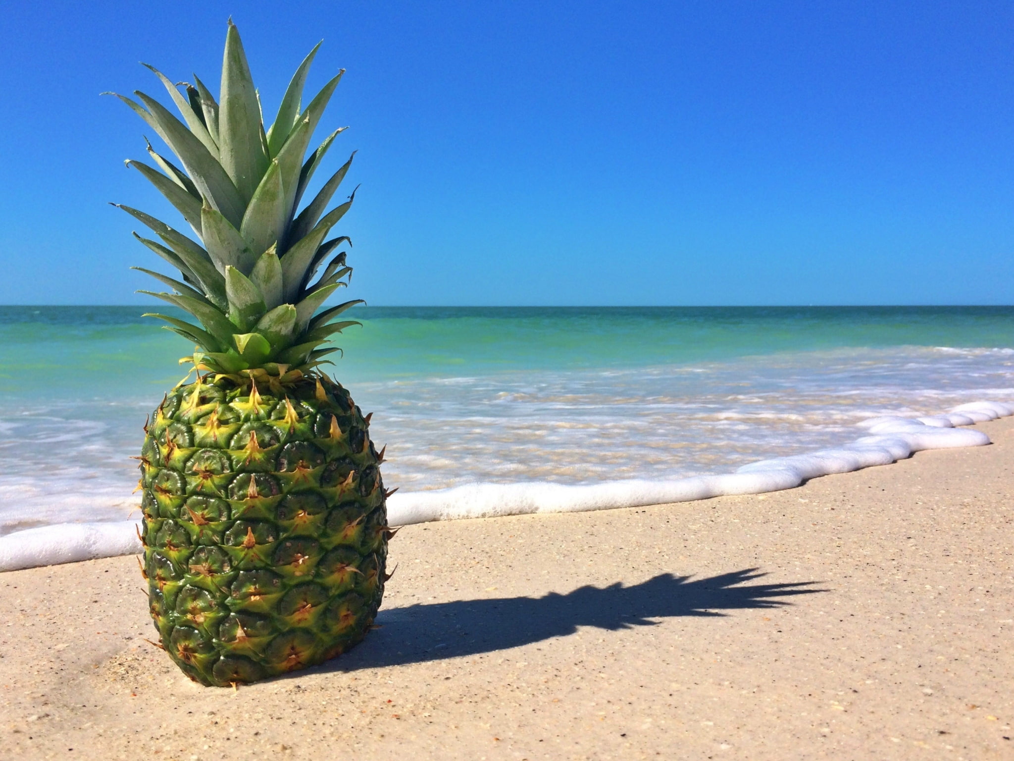 fruit, no people, pineapple computer  backgrounds, tropical climate, blue, sky, land, nature, sea, horizon, food and drink, beach, healthy eating, day, HD Wallpaper