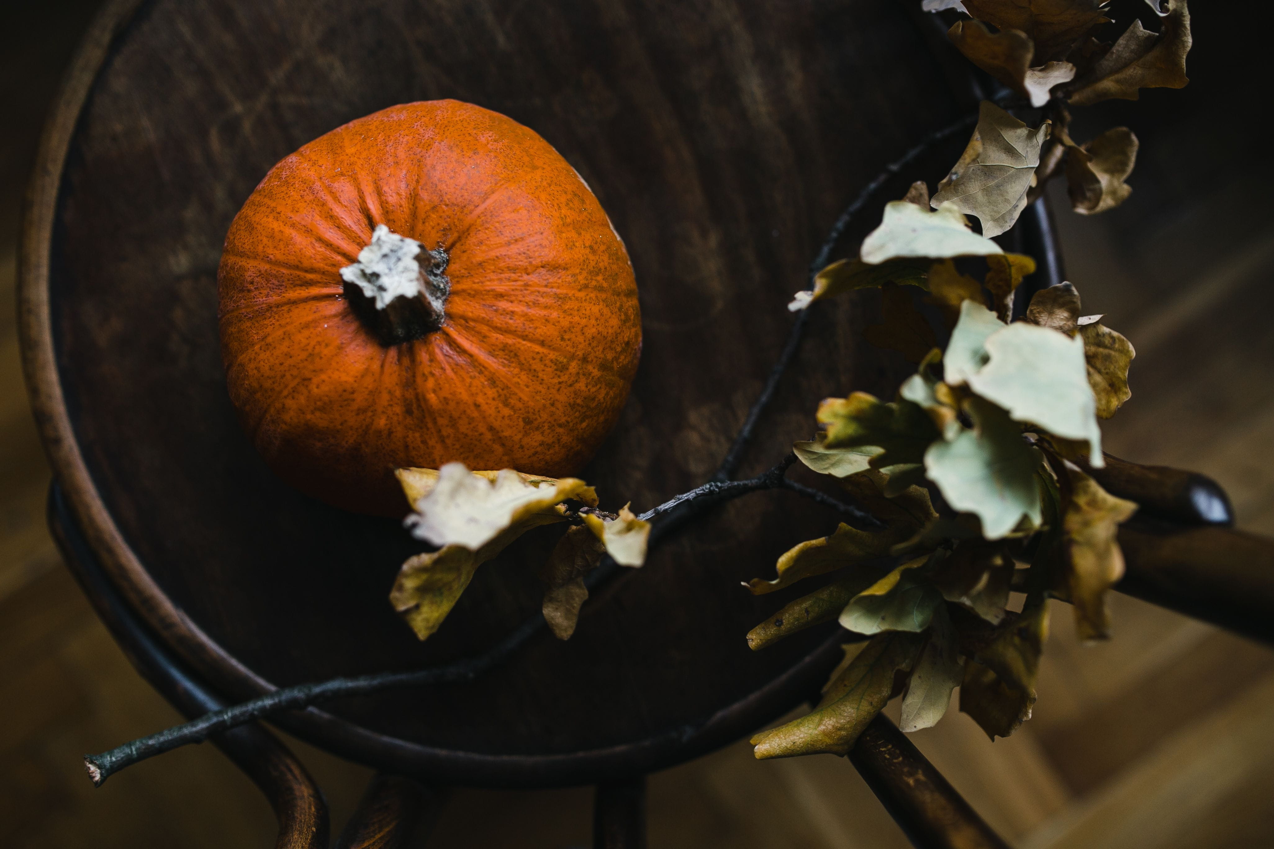 flower, close-up, food, leaf, nature, 4K, Autumn, no People, healthy eating, food and drink, fruit, outdoors, day, halloween, thanksgiving, freshness, HD Wallpaper