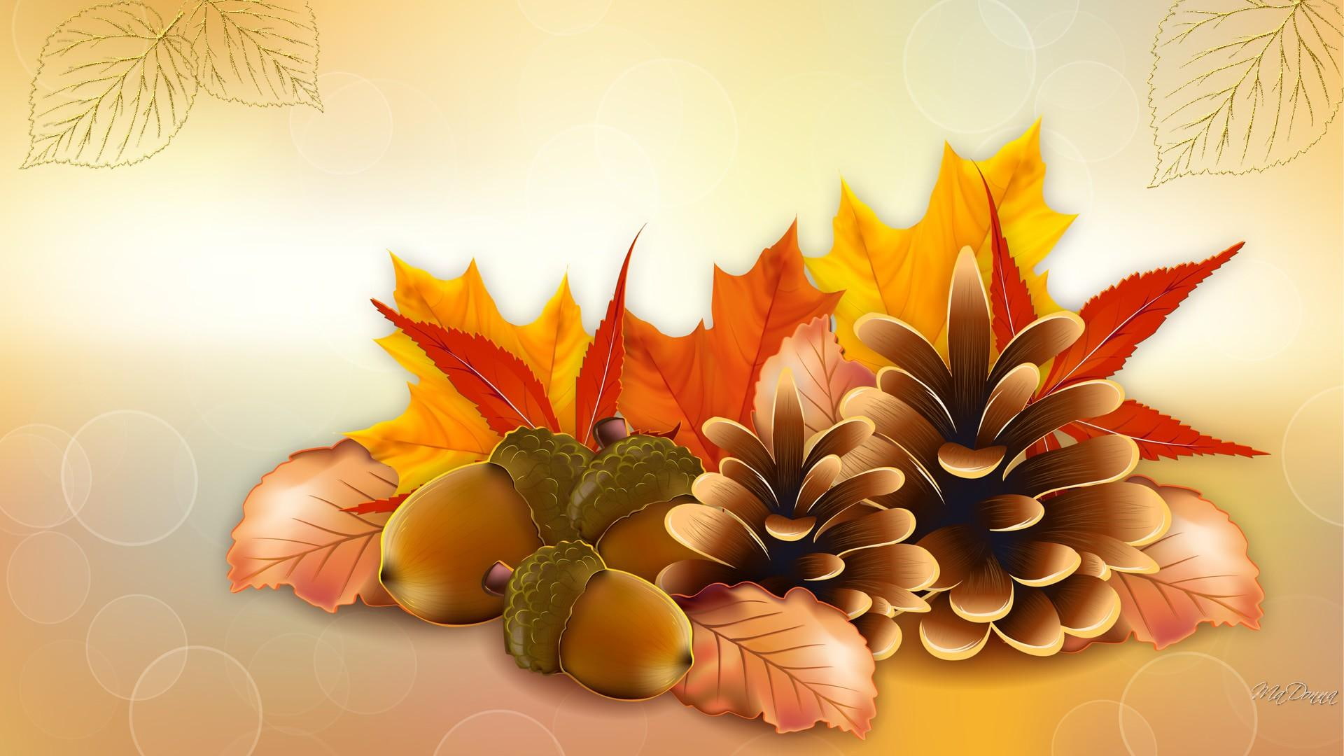 brown, maple, autumn, leaves, flowers, 1080P, yellow, pine-cones, thanksgiving, acorns, fall, orange, gold, HD Wallpaper