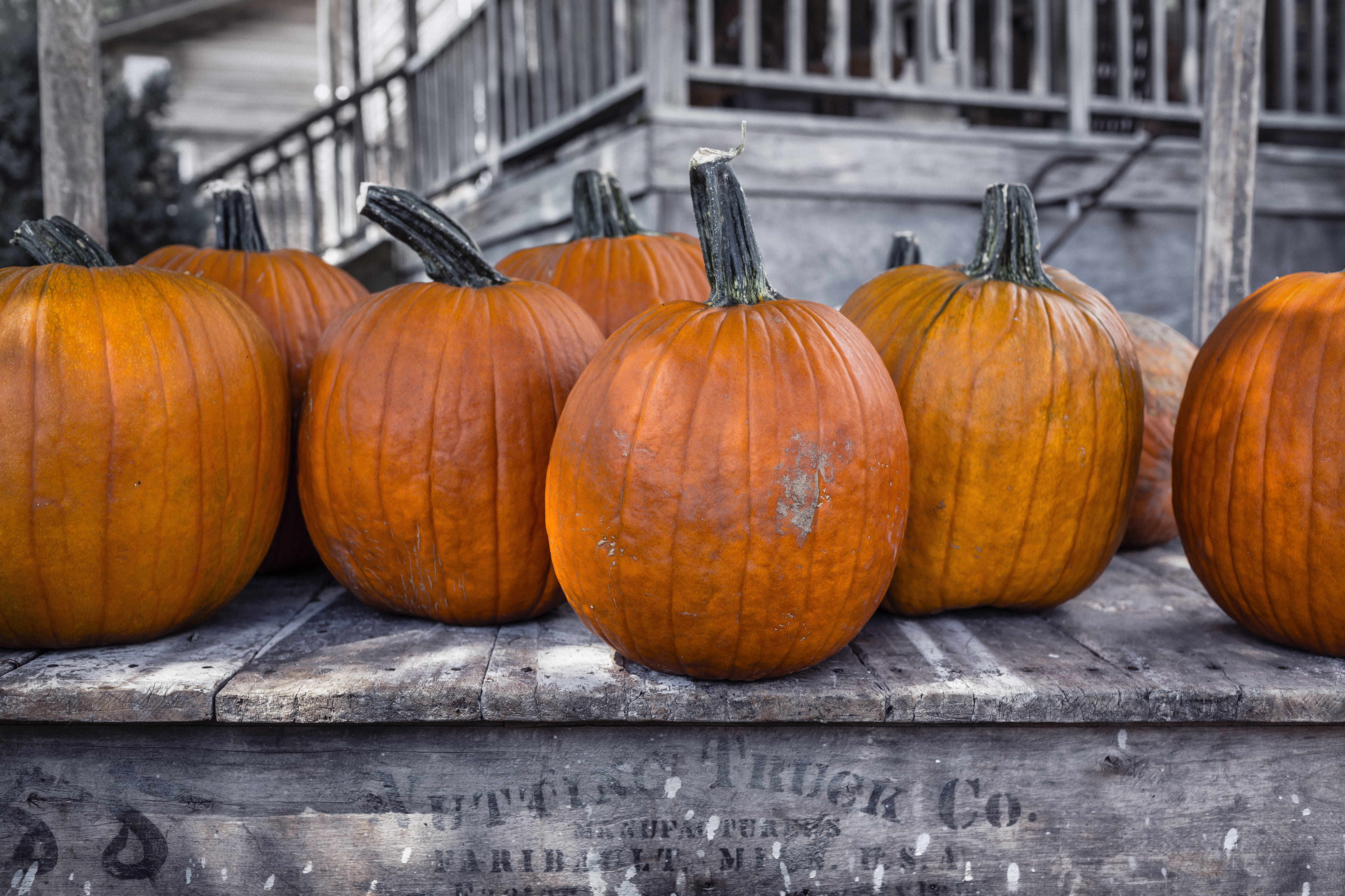 autumn, food, objects, farm, outdoors, fall, celebration, arrangement, food and drink, nature, wellbeing, close-up, selective color, wood - Material, color, HD Wallpaper