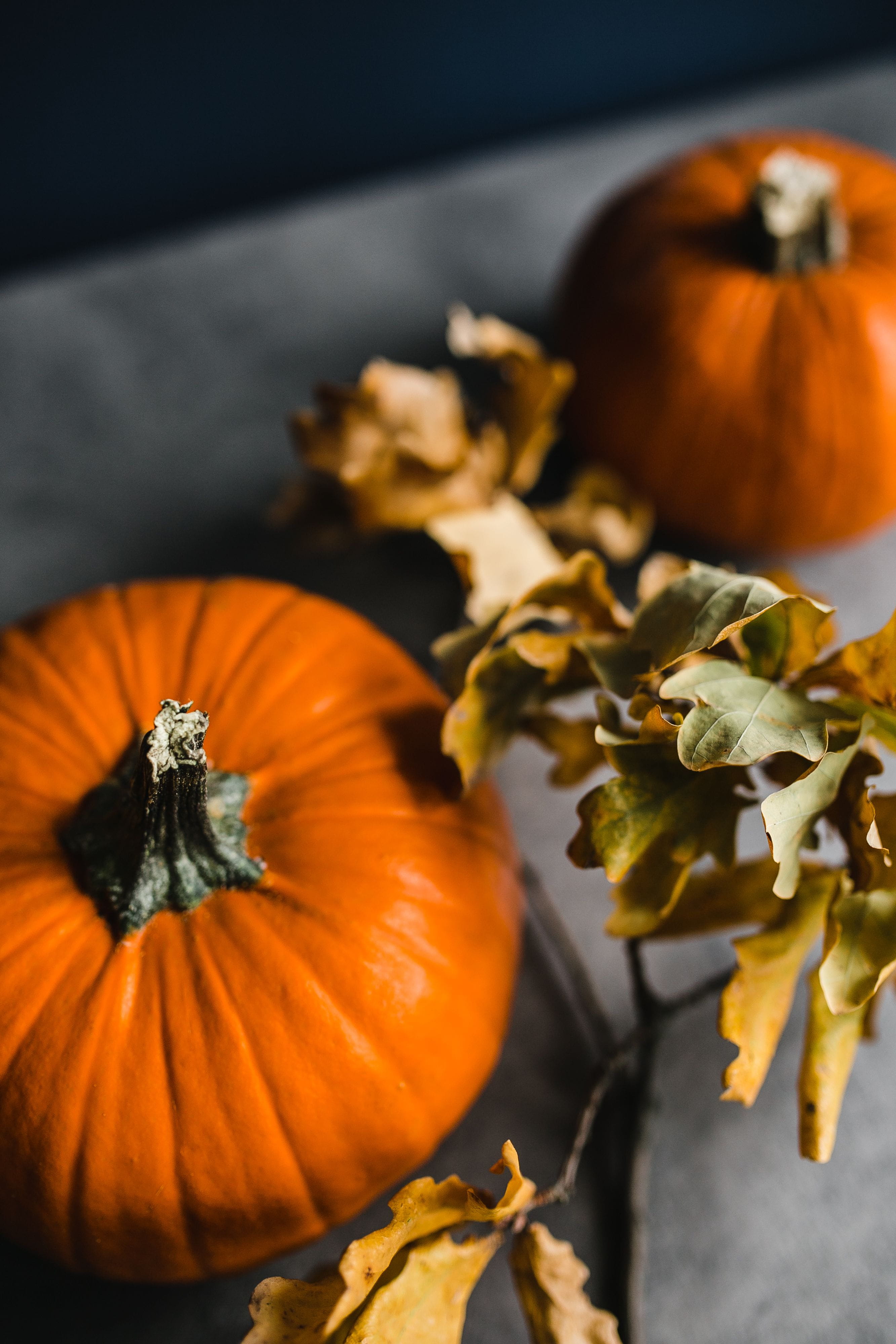 Pumpkin, gourd, season, decoration, close-up, Autumn, food, 4K, focus on foreground, freshness, indoors, vegetable, fall, wellbeing, halloween, squash - Vegetable, Phone HD Wallpaper