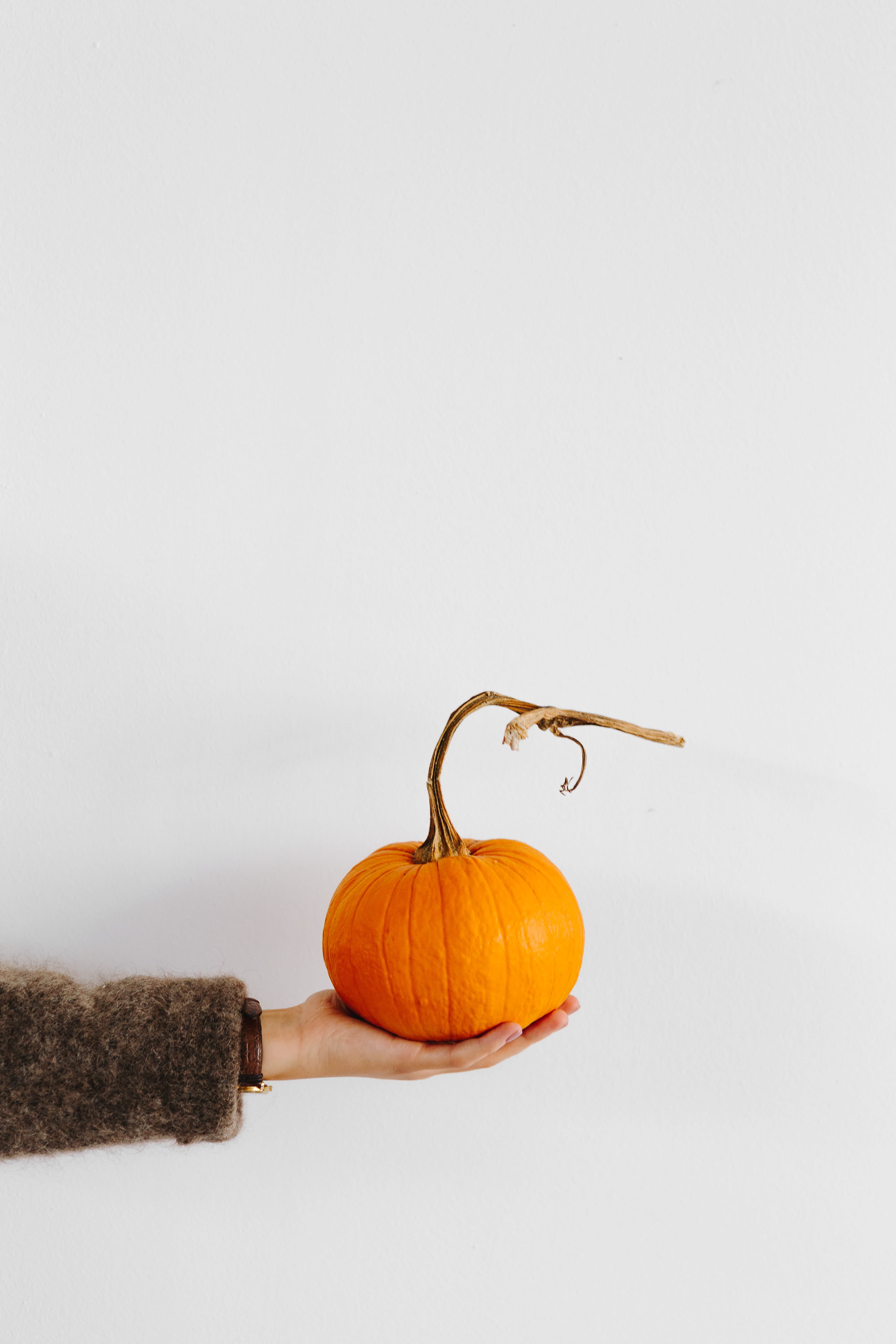 wellbeing, holding, single object, indoors, fruit, fall, autumn, halloween, orange, wall - building feature, close-up, food and drink, copy space, freshness, Phone HD Wallpaper
