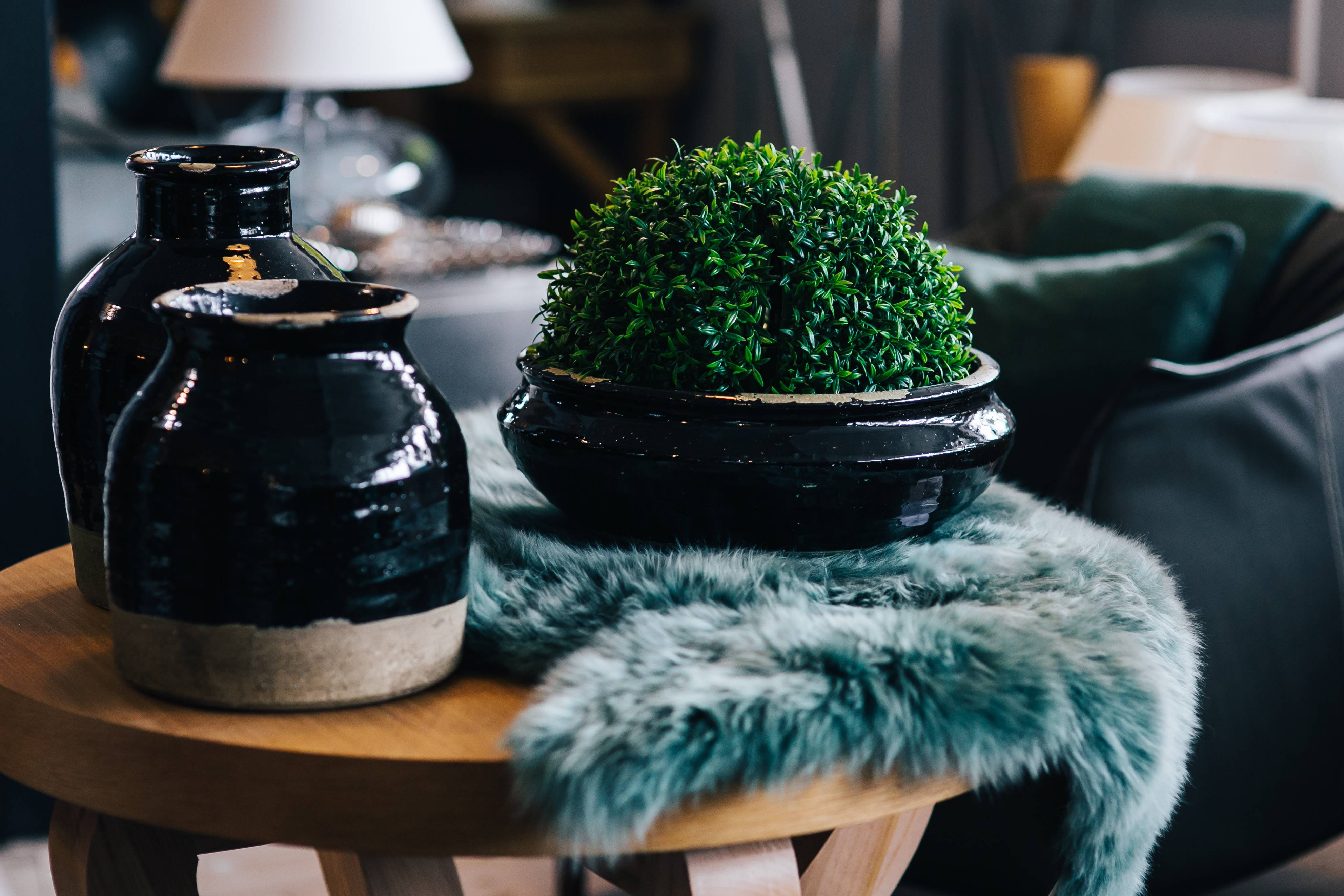 day, rug, table, green color, refreshment, potted plant, 4K, pot, indoors, freshness, black color, chair, black, container, Green plant, bottle, cyan, HD Wallpaper