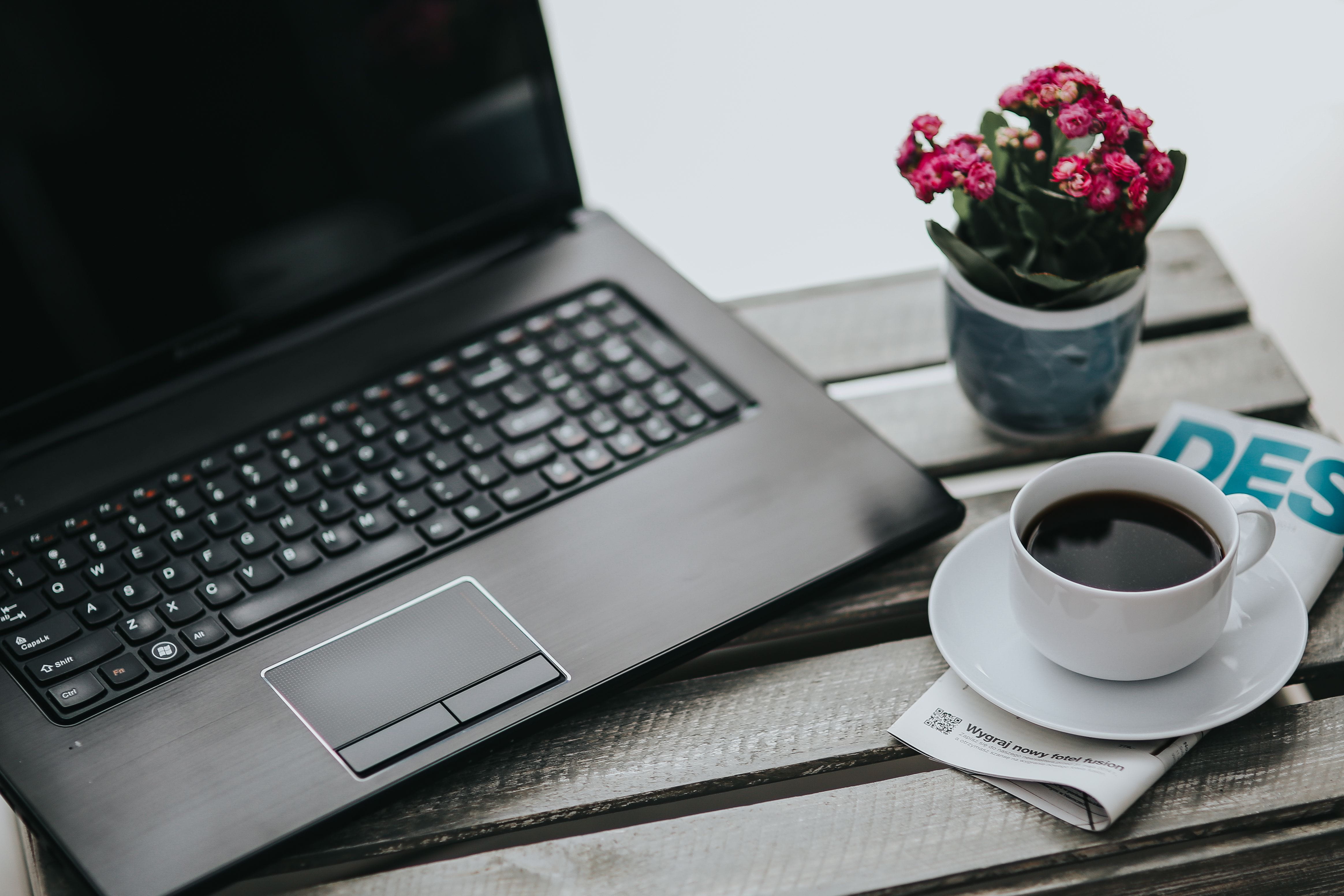 computer, flora, keyboard, blossom, flowering plant, hot drink, pink, desk, flowers, computer Keyboard, table, pot, coffee - Drink, 4K, beautiful, food and drink, HD Wallpaper