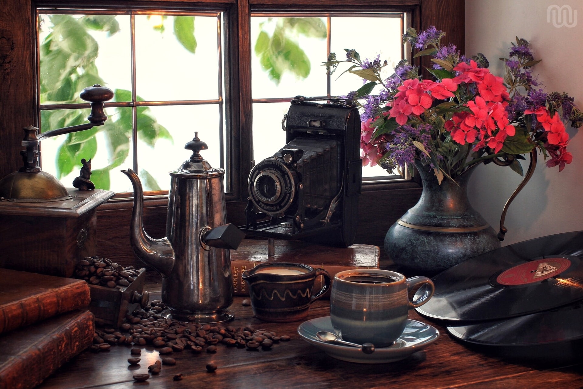 no people, flowers, flower head, bouquet, antique, nature, still life, day, coffee grinder, records, 1080P, kitchen utensil, flower, teapot, flower pot, HD Wallpaper