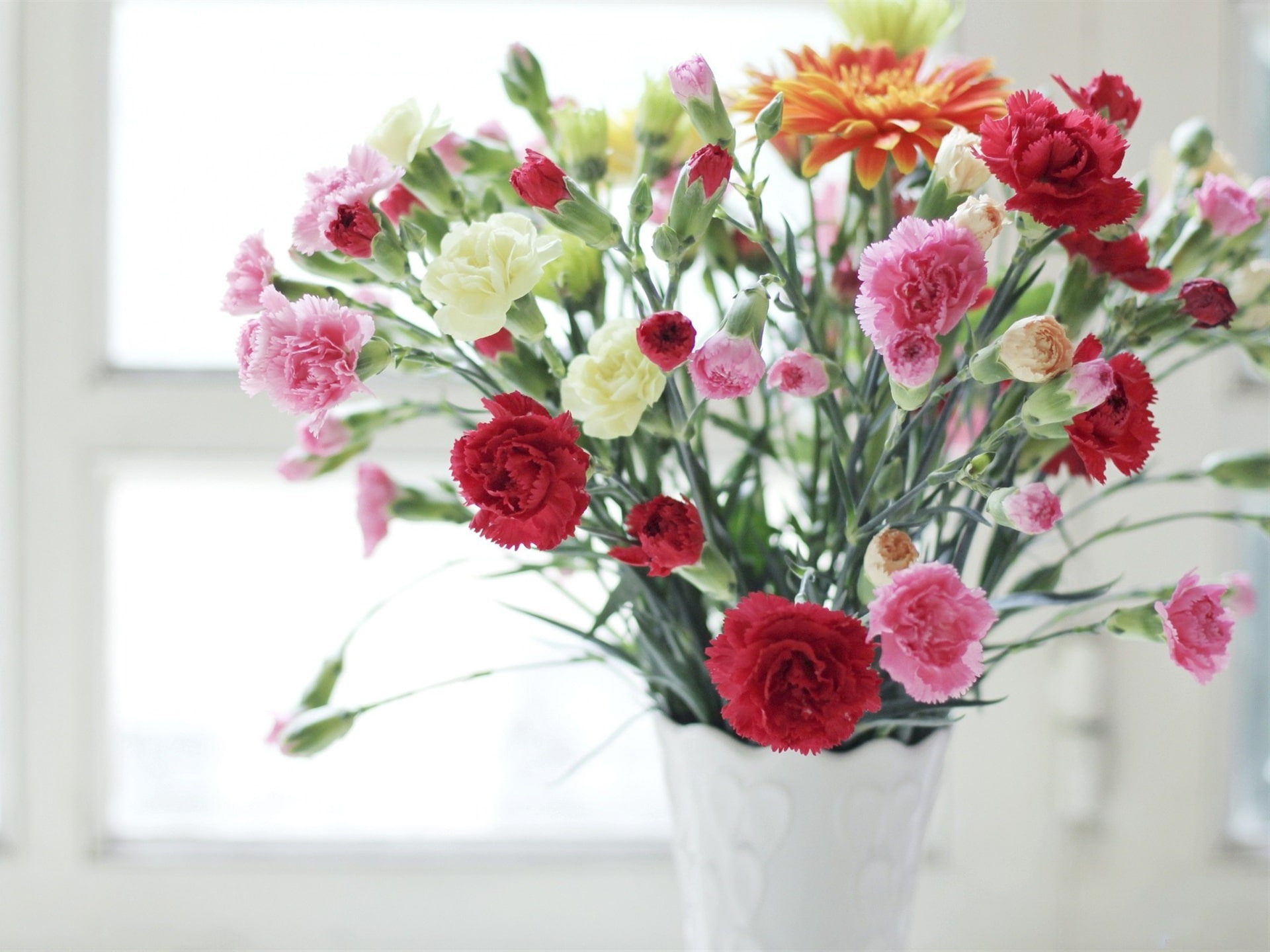 Carnations, White, Vase, Flowers, Pink, Red, 1080P, HD Wallpaper