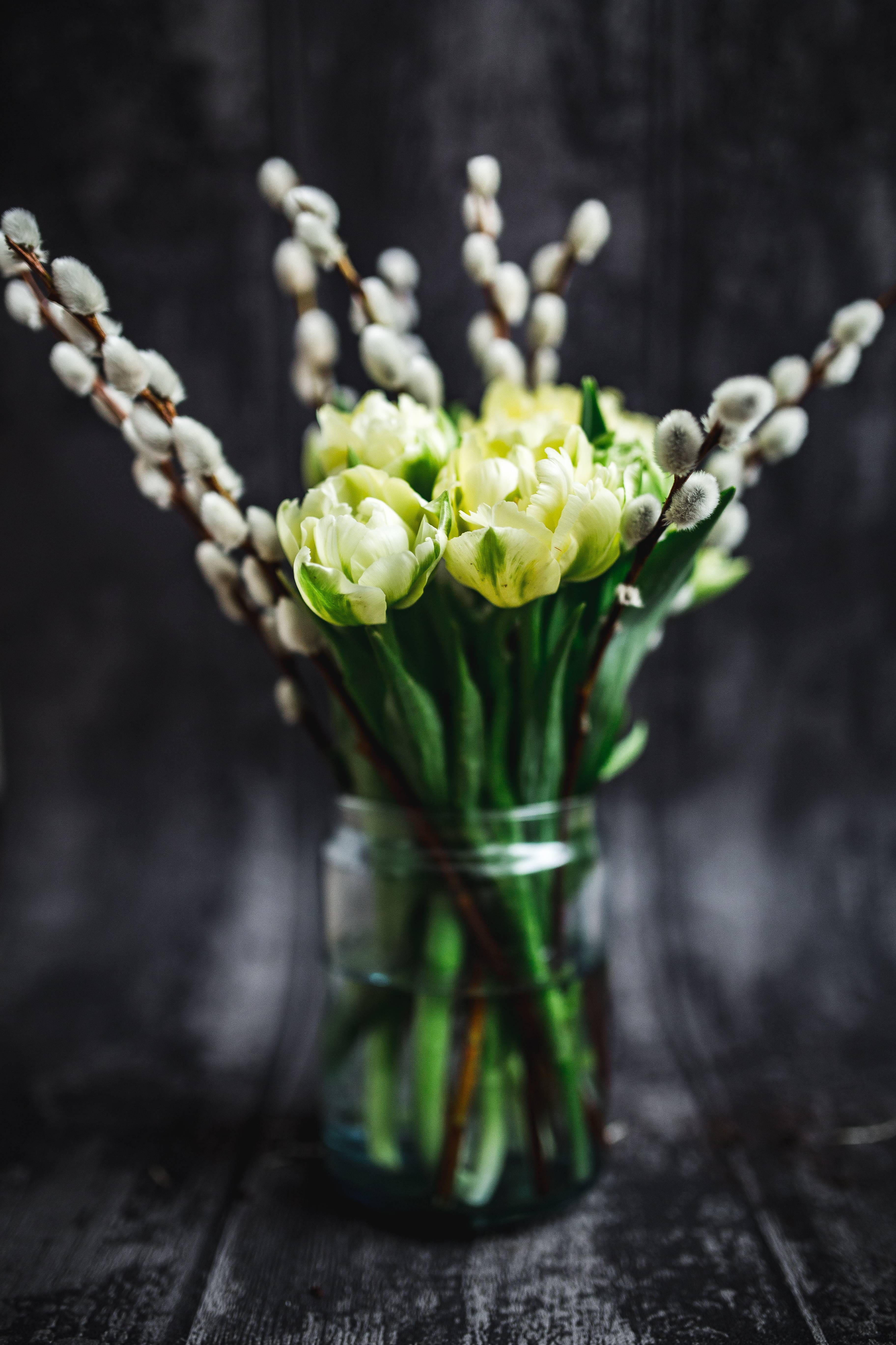 selective focus, catkins, cut Flowers, freshness, yellow, blossom, fragility, plant, beauty in nature, bouquet, no People, studio shot, ups, nature, jar, Phone HD Wallpaper