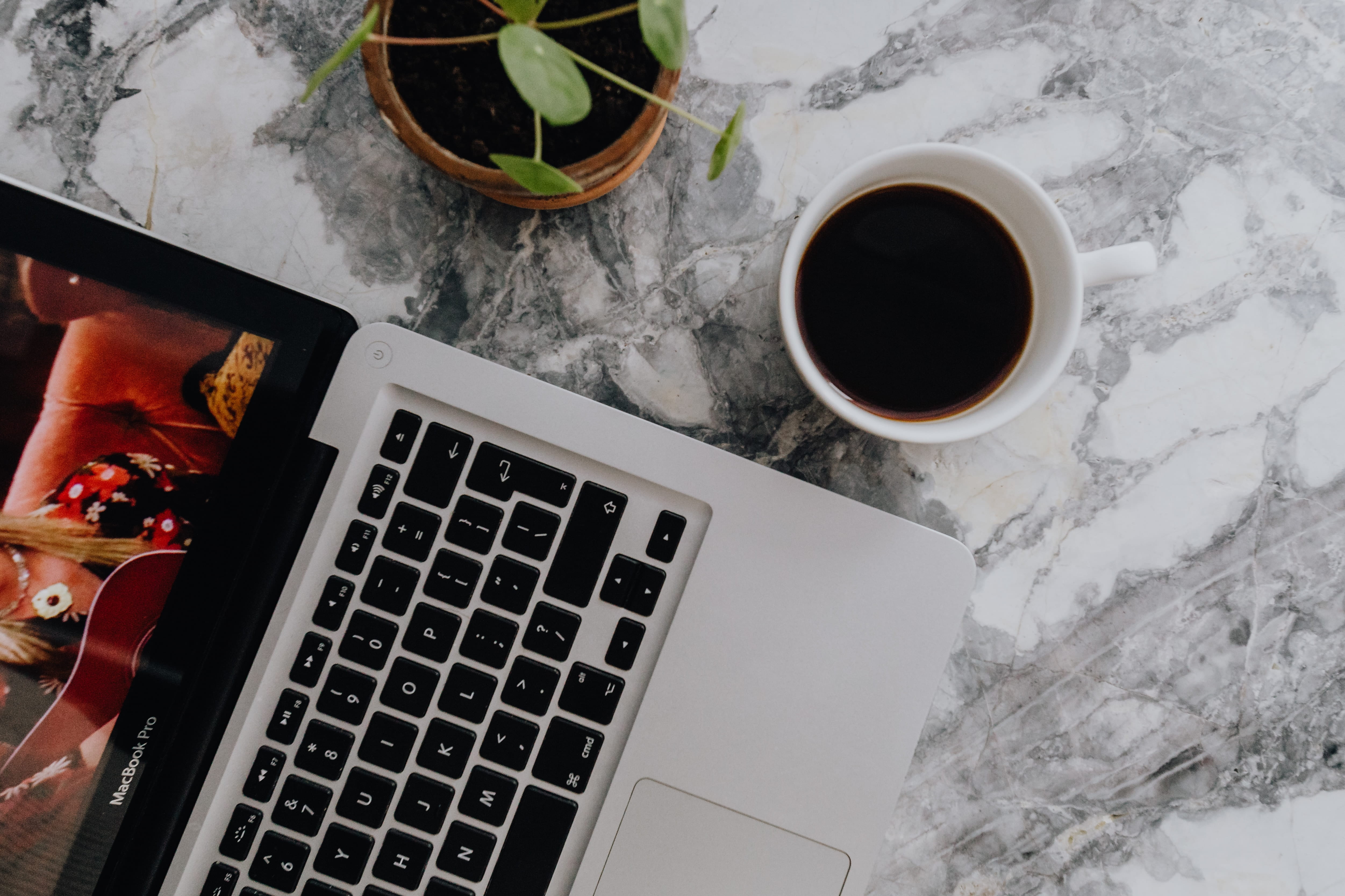 cup, high angle view, connection, tech, workplace, indoors, leaves, macbook, communication, human hand, food and drink, coffee - drink, refreshment, study, HD Wallpaper