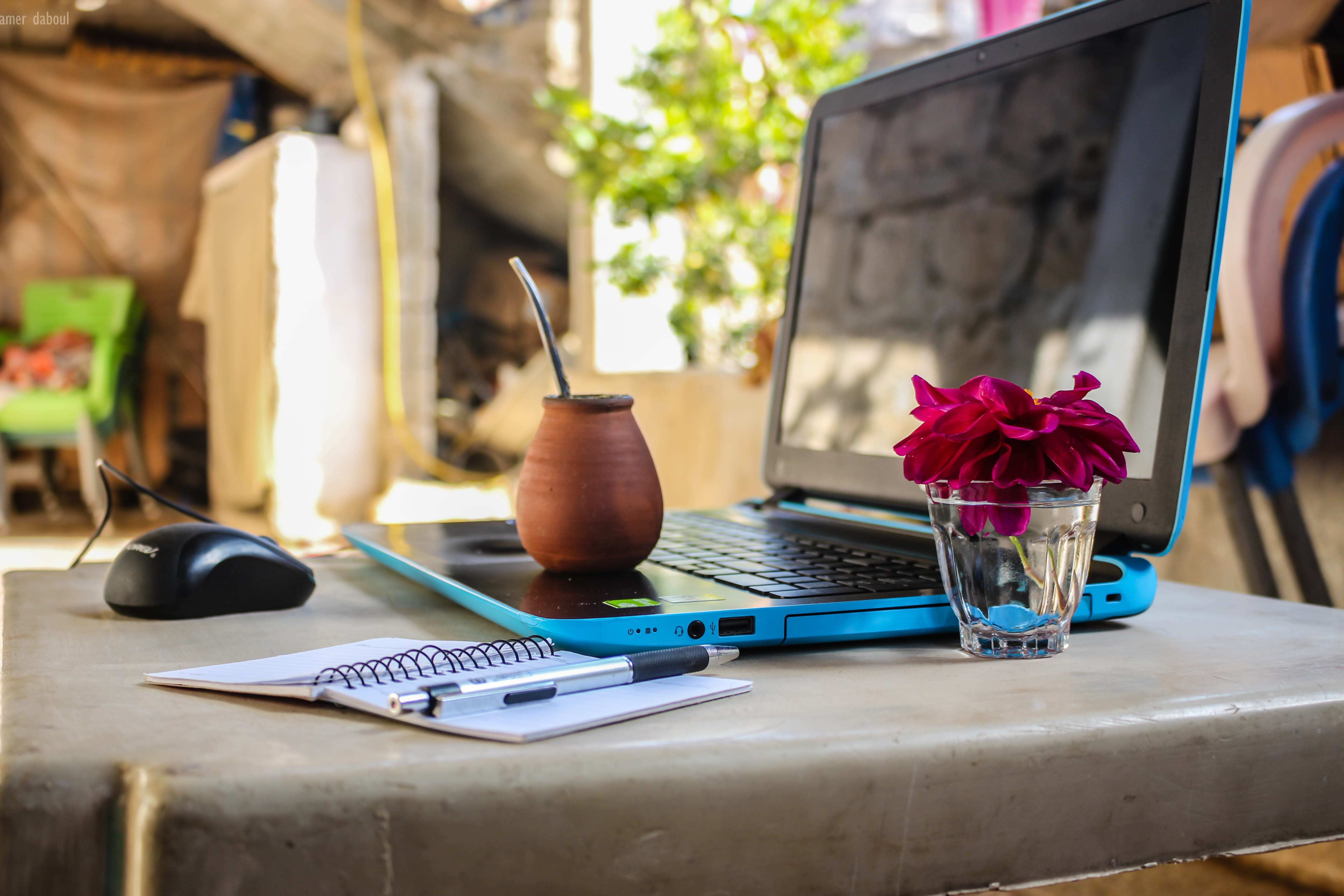 absence, electronics, flower, notebook, no people, mouse, technology, flowering plant, plant, laptop, focus on foreground, nature, desk, computer, household equipment, HD Wallpaper