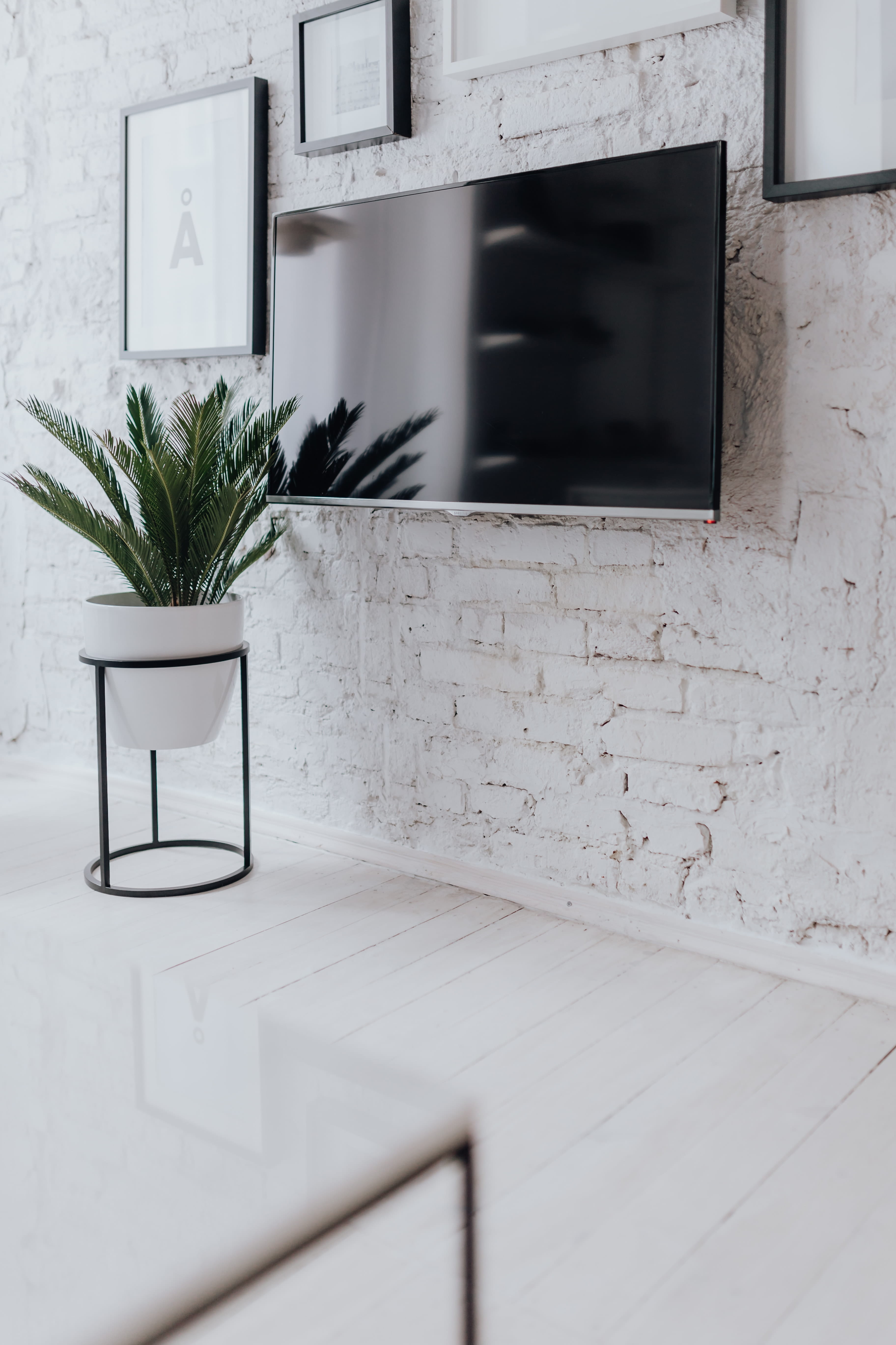picture frame, room, nature, white, living room, interior, window, un, plant, architecture, wall - building feature, apartment, wooden floor, home interior, Phone HD Wallpaper