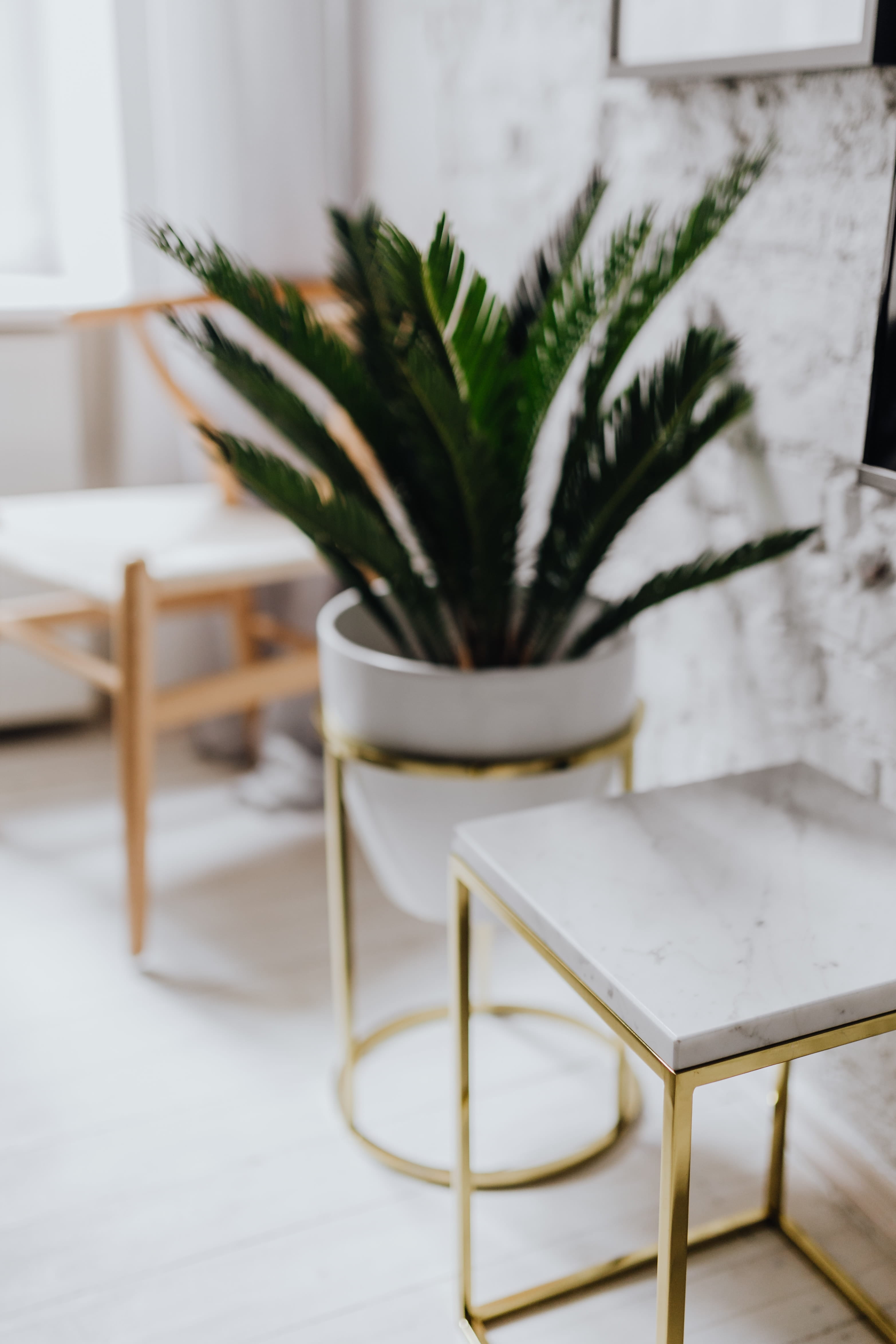 living room, potted plant, living, white floor, wooden floor, white, white color, Uncommon, scandinavian, home showcase interior, chair, flooring, plant, Phone HD Wallpaper