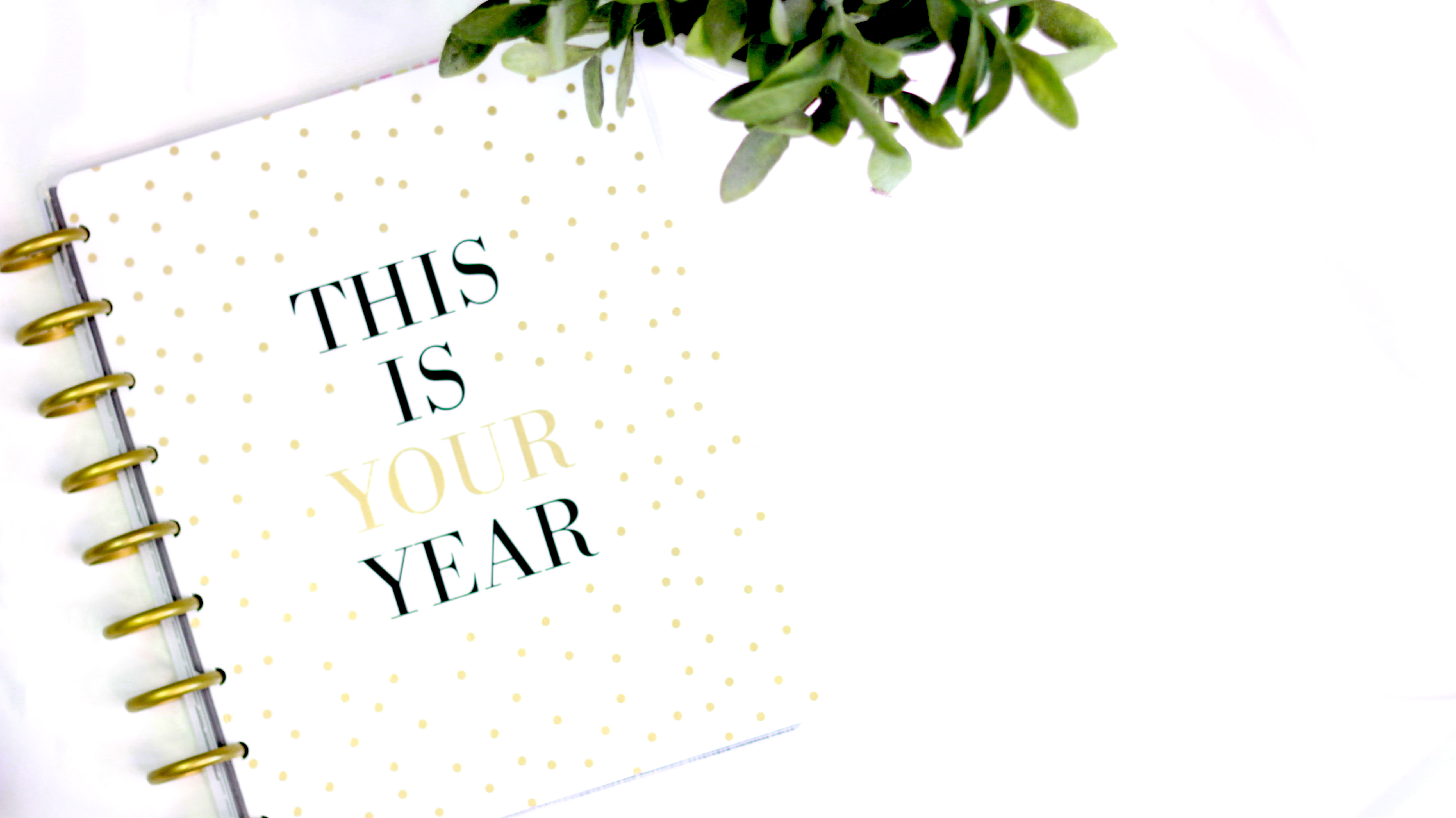 white color, studio shot, table, communication, event, no people, dot, green, leaf, pages, plants, notes, text, plant part, paper, work, 5K, leaves, message, HD Wallpaper