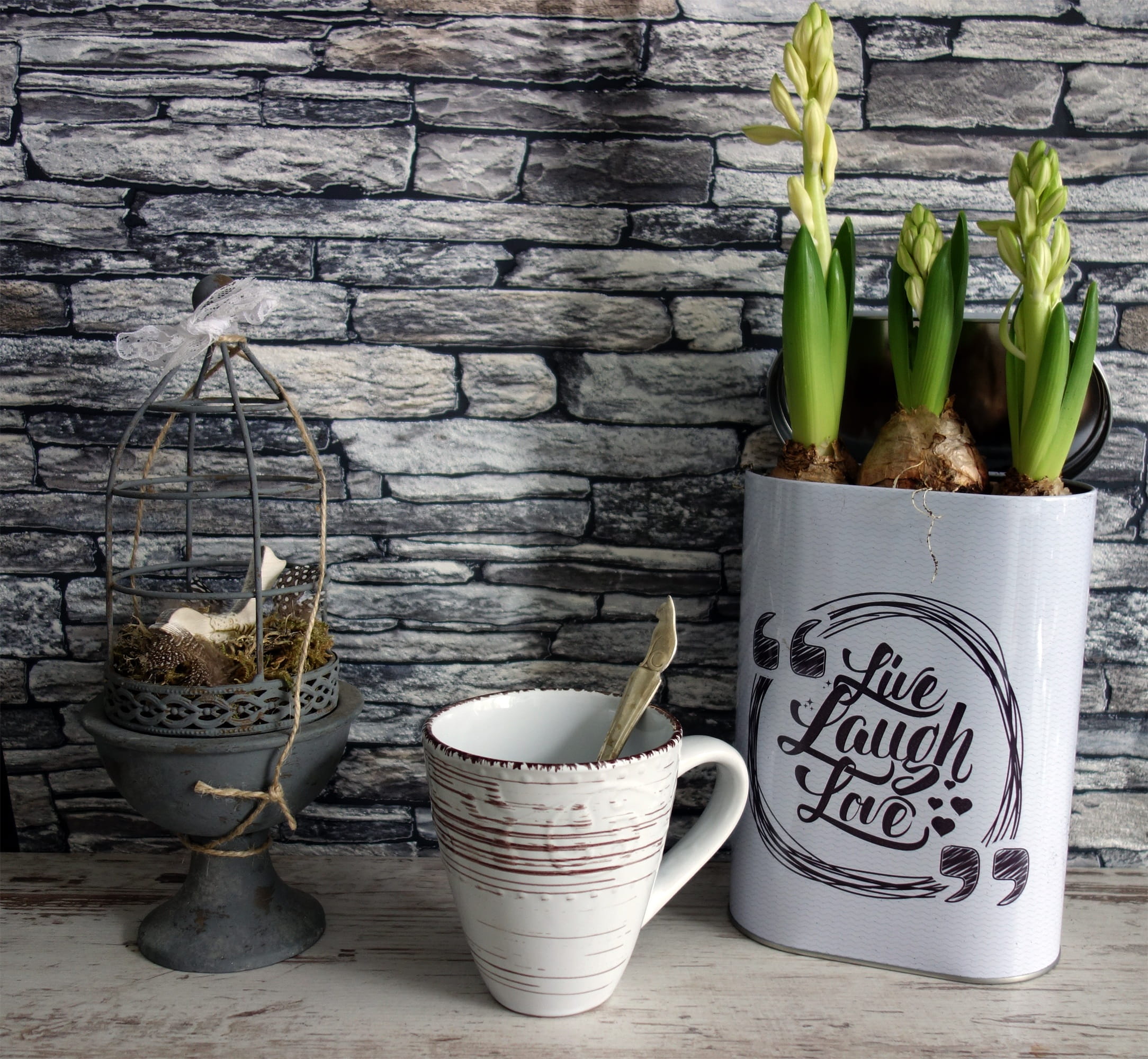 bloom, watering can, text, ceramic, plants, container, green color, rustic, antique, cage, growth, flower, wood - Material, cup, nostalgia, decoration, HD Wallpaper
