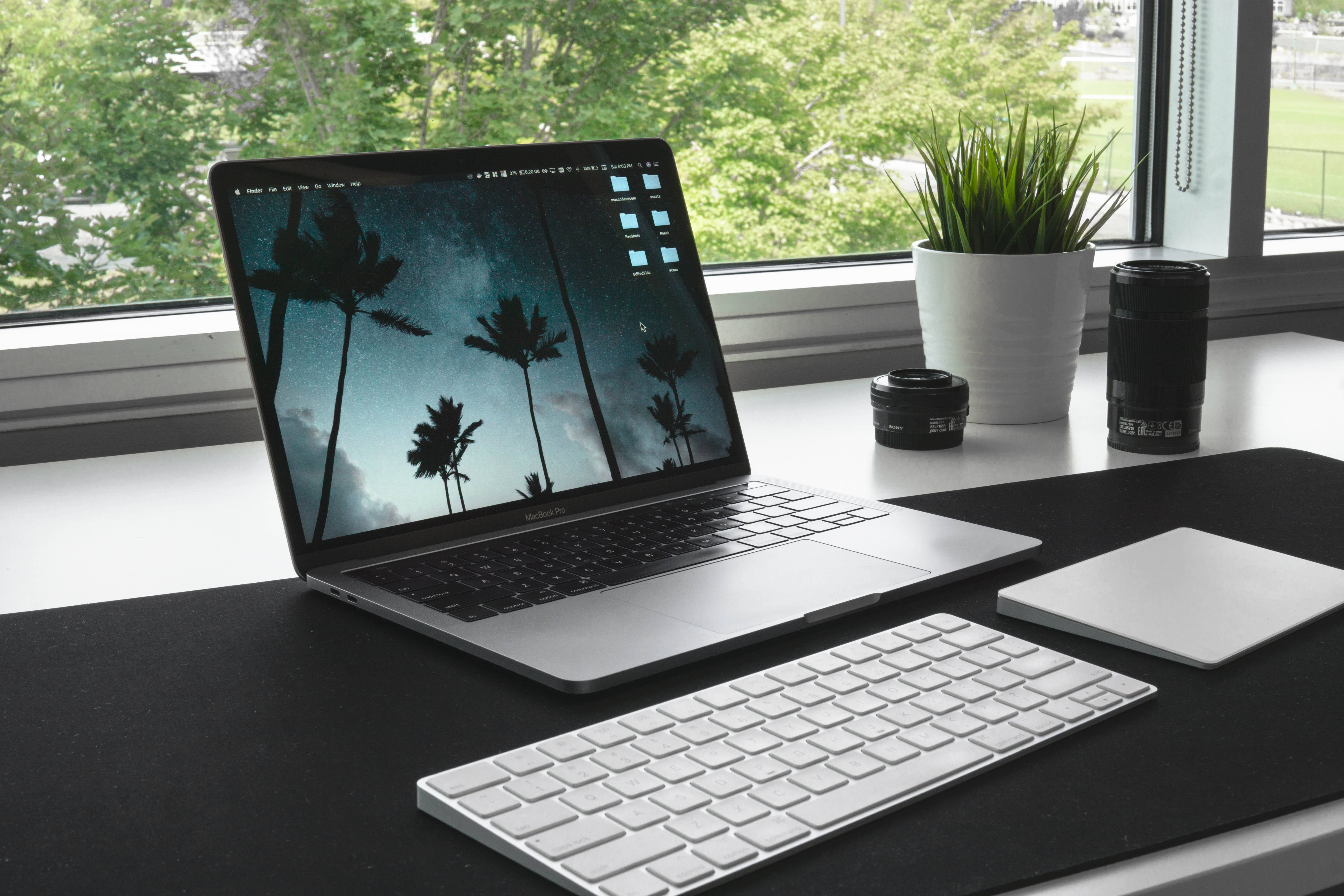 swift, 35, growth, table, mouse, developer, blake, eazy, computer, laptop, minimal, potted plant, no people, houseplant, connection, trackpad, plant, coder, HD Wallpaper