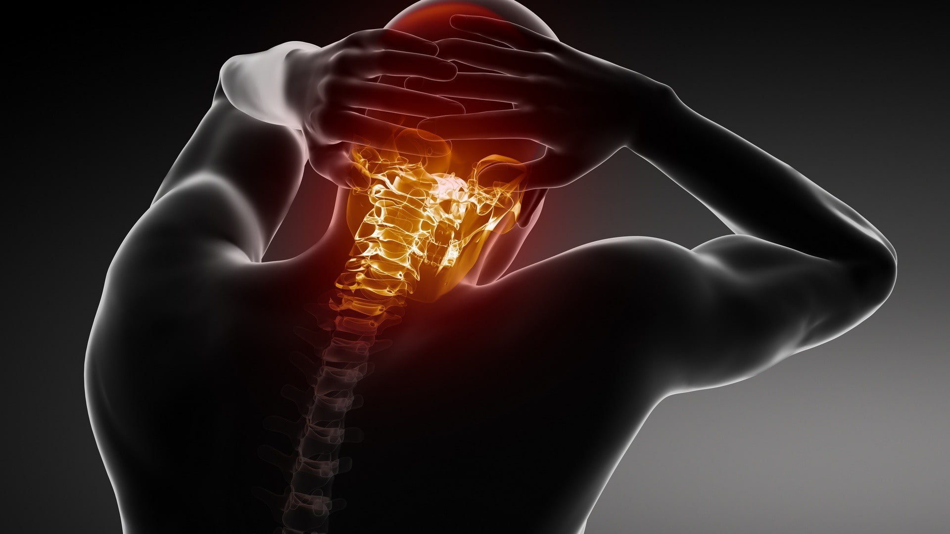 1080P, skull, spine, fire, X-Ray, HD Wallpaper