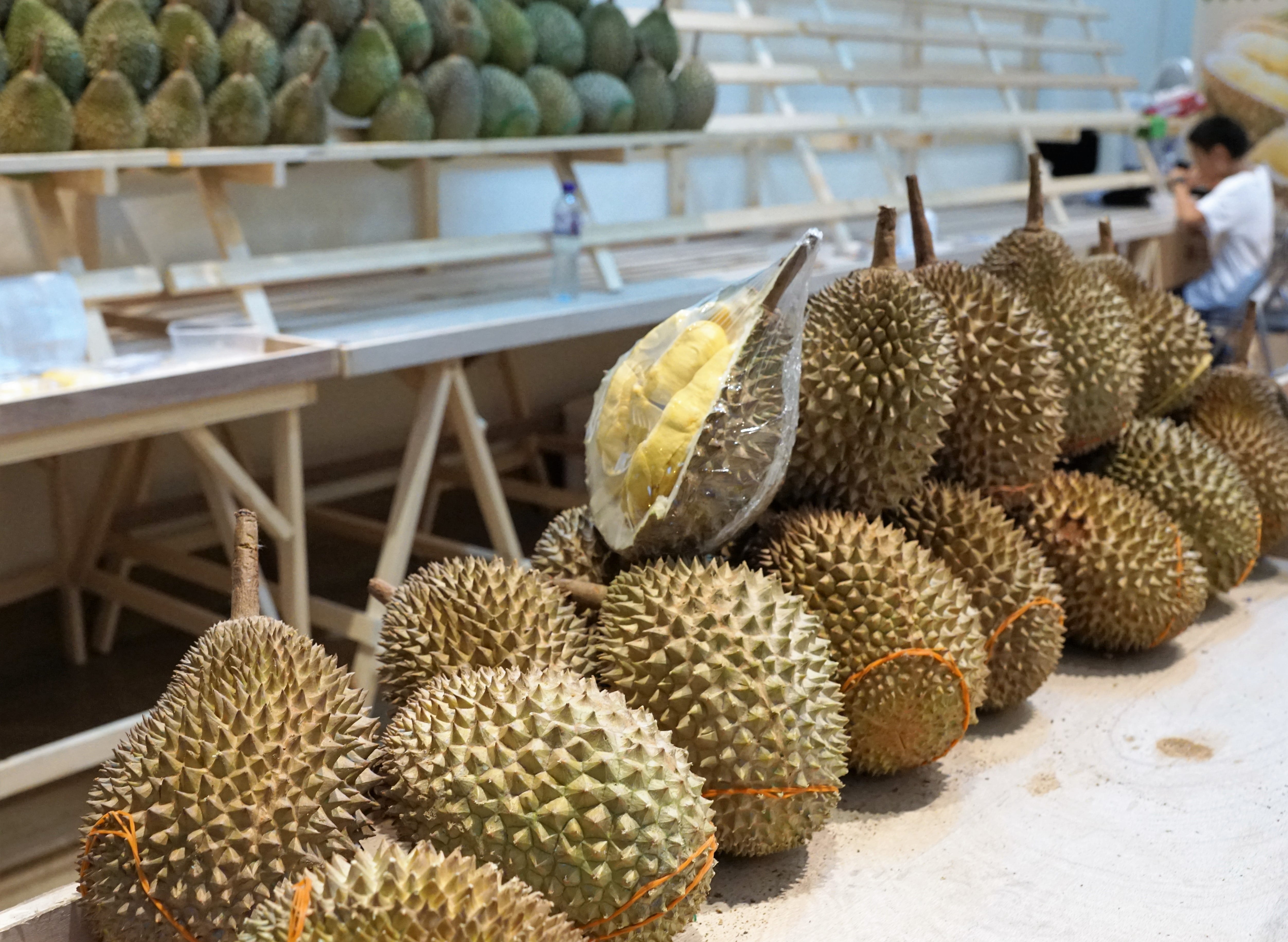 brown, prickly, delicious, bio, bitter, focus on foreground, summer, shell, perfume, freshness, music, raw, piercing, shelf, stink, durian, orchid, food, HD Wallpaper