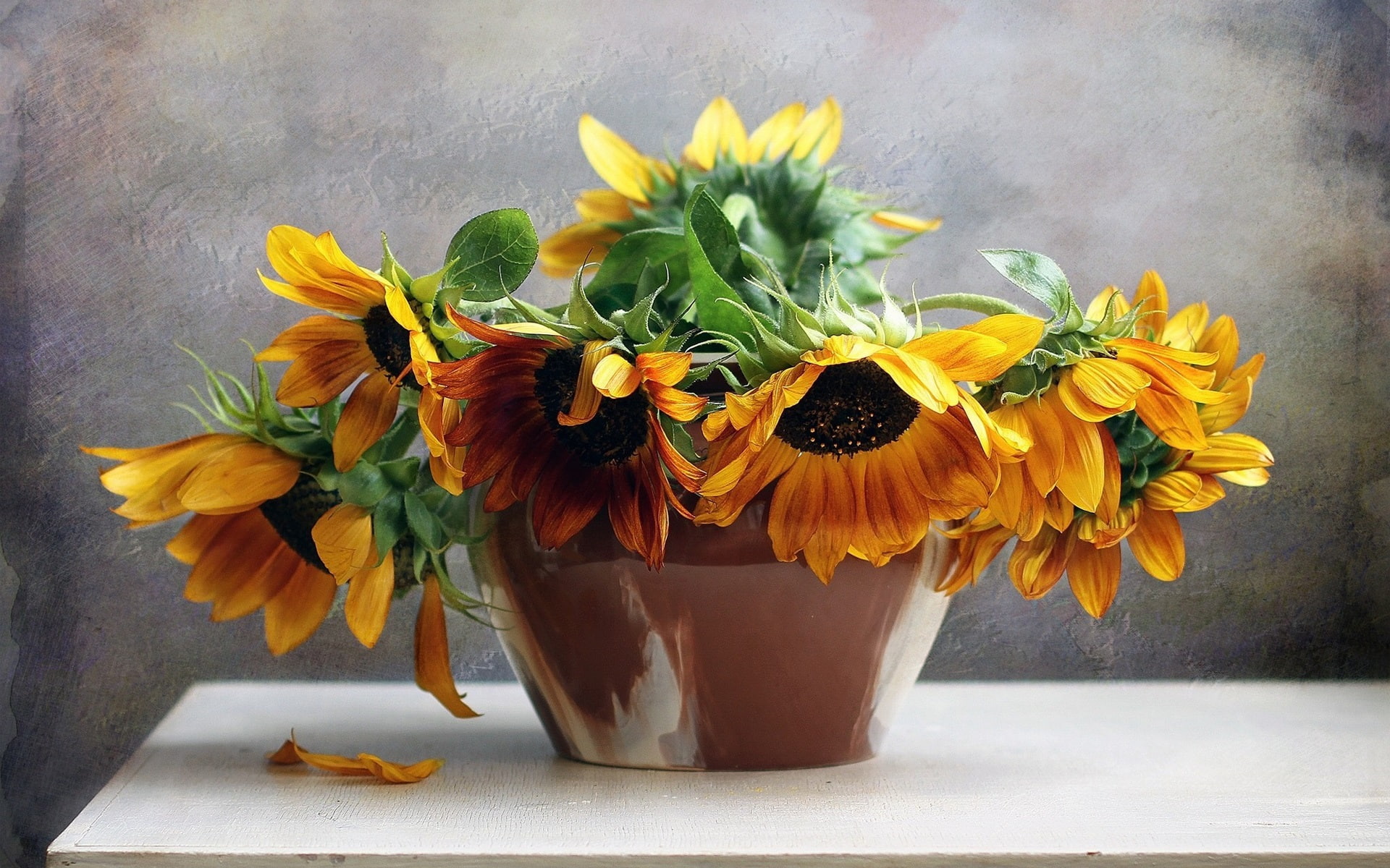 Bouquet, Still, Life, Sunflowers, 1080P, Flowers, HD Wallpaper