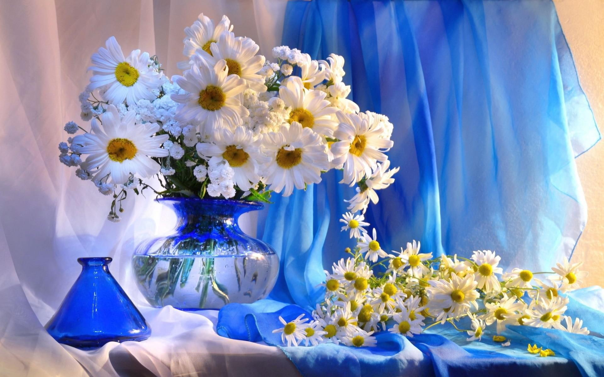 flowers, decoration, 1080P, vase, bouquet, daisy, HD Wallpaper