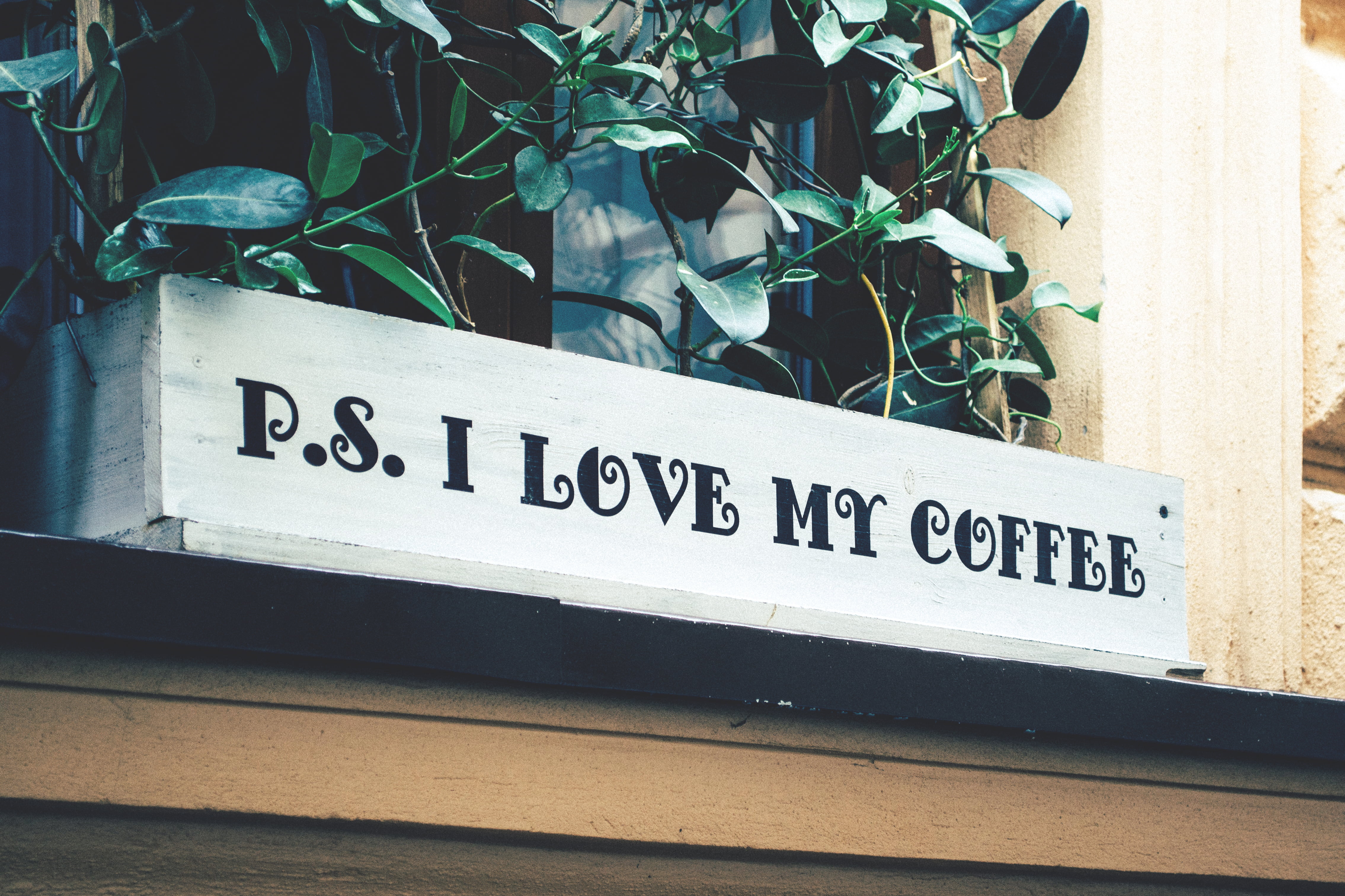 wall - building feature, outdoors, love, plant, growth, plant part, leaf, built structure, s, day, text, potted plant, 4K, signage, p, no people, windowsill, HD Wallpaper