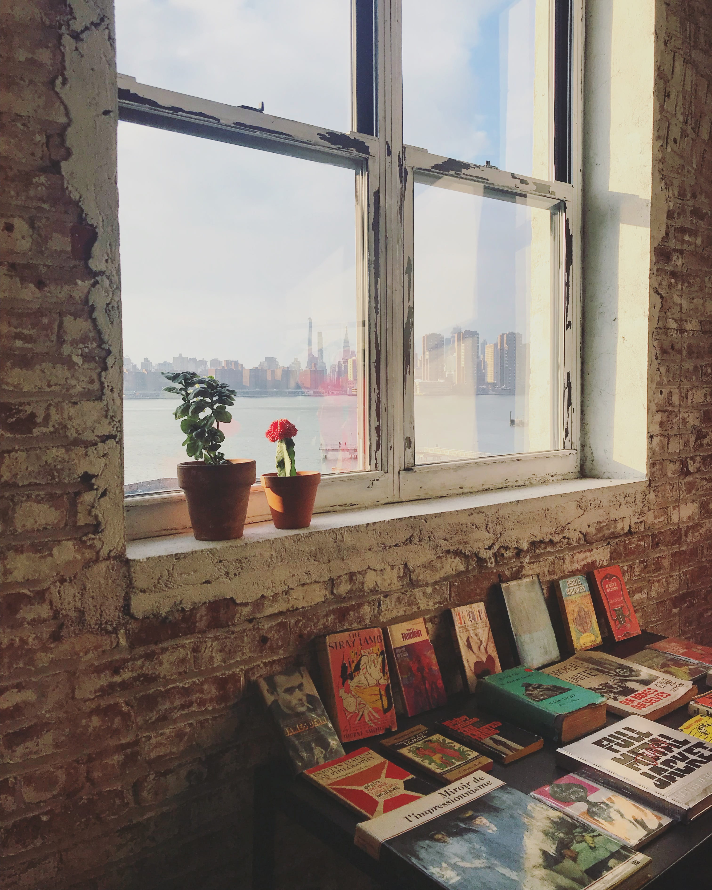 window sill, windowsill, brooklyn, book, window, built structure, plant, 2K, picture frame, glass - material, indoors, manhattan, architecture, books, Phone HD Wallpaper
