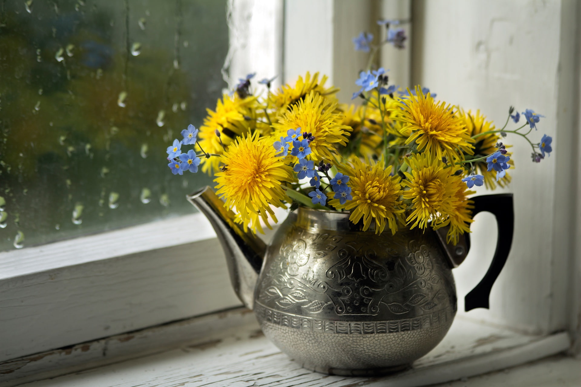 kettle, forget-me-nots, on the windowsill, window, 1080P, dandelions, a bunch, HD Wallpaper