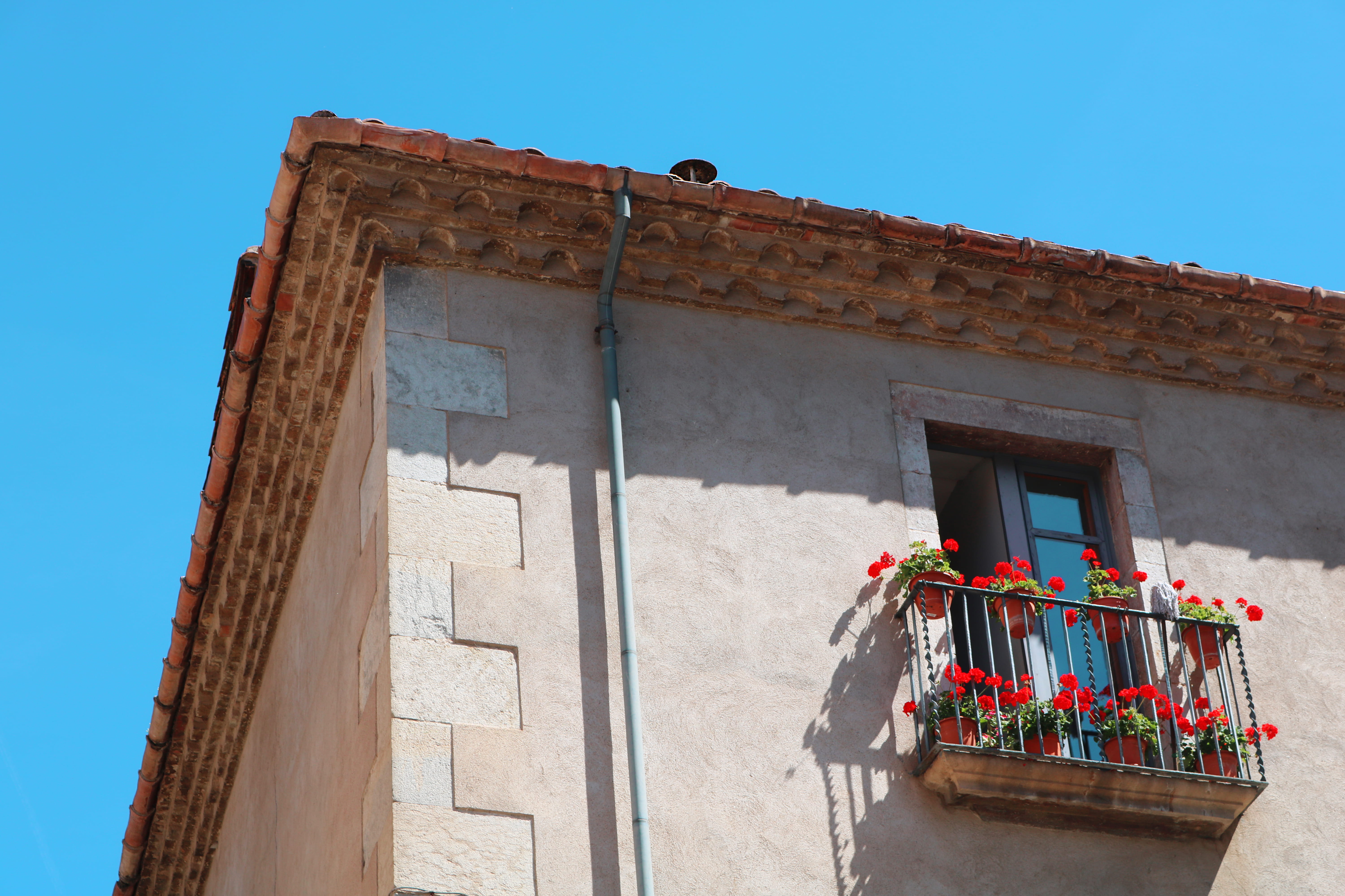 europe, blue, tropical, roses, built structure, building, summer, no people, 5K, clear sky, day, low angle view, sunlight, flowers, potted plant, balcony, HD Wallpaper