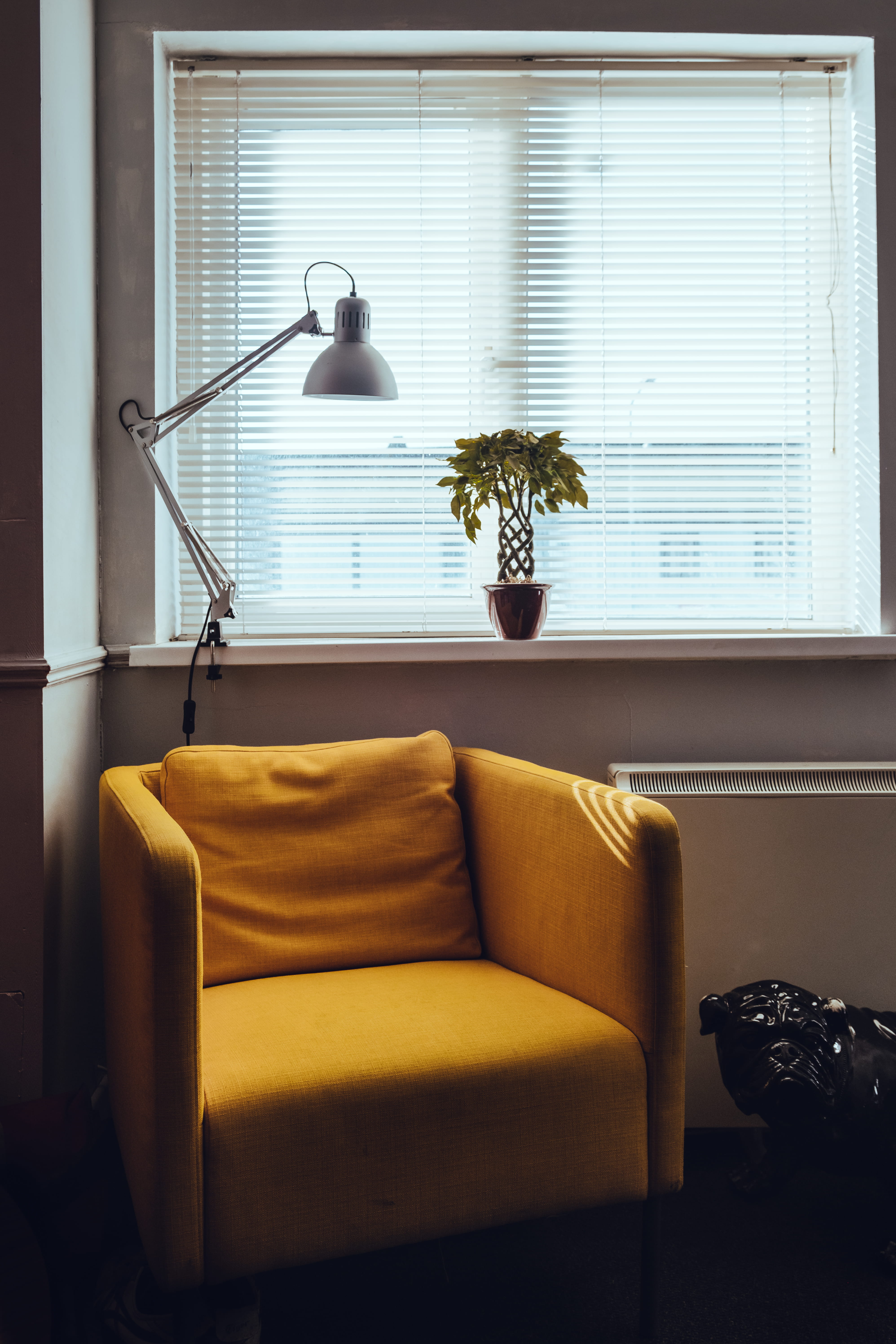 living room, indoor, yellow, 5K, no people, dublin, ireland, office space, animal, lighting, domestic room, vase, windowsill, armchair, desk, nature, sunshine, Phone HD Wallpaper