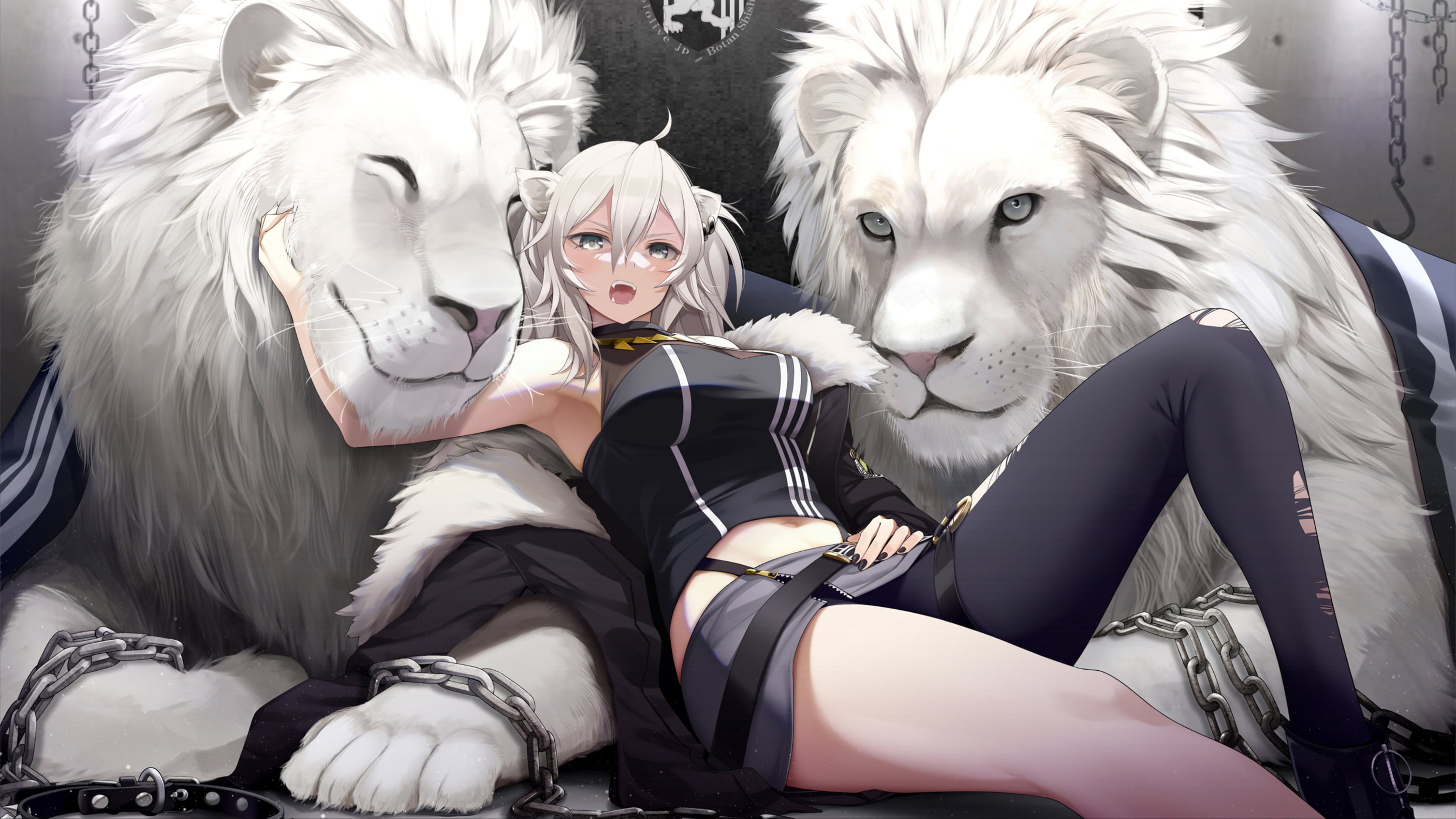 4K, lion, Hololive, Shishiro Botan, HD Wallpaper