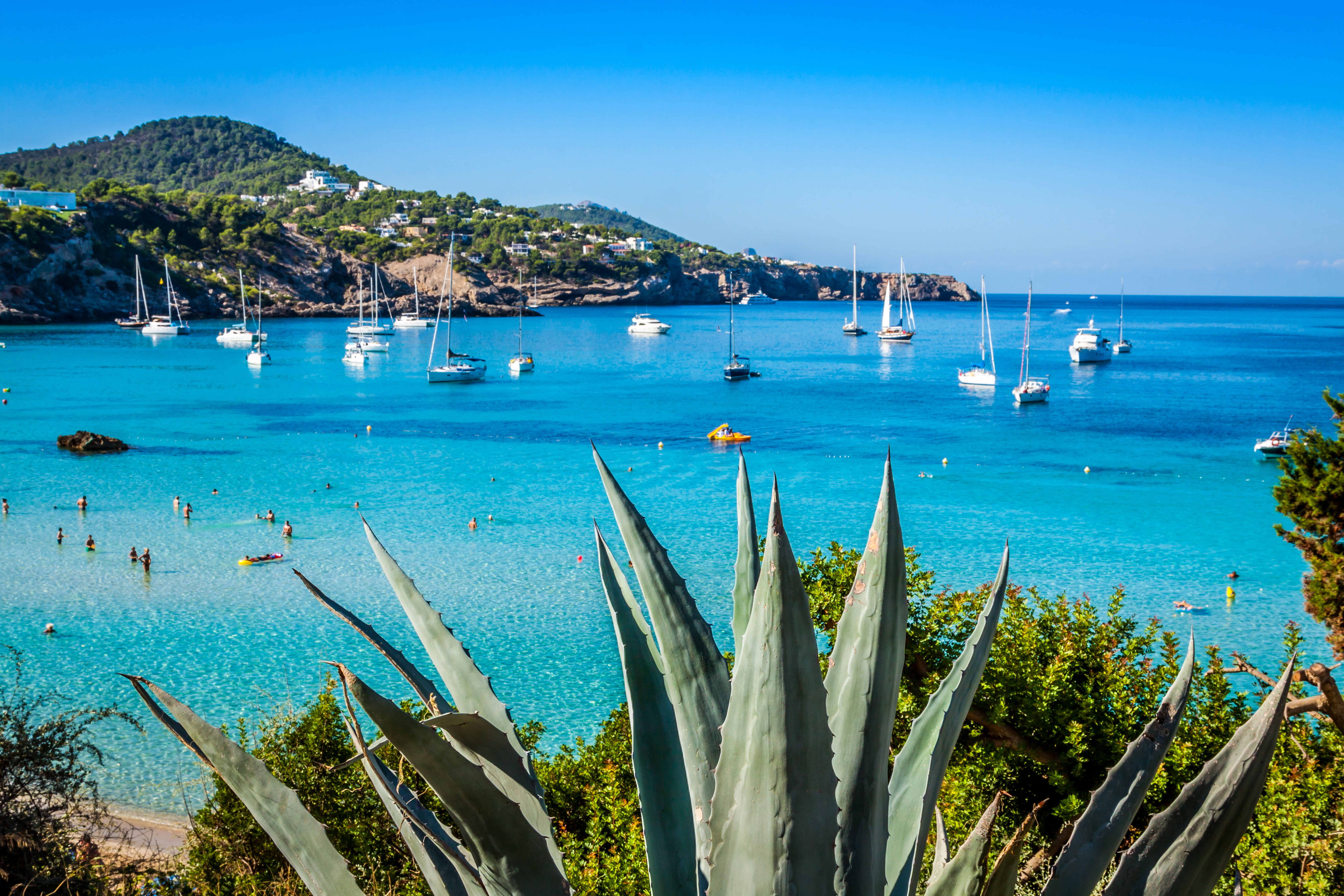 sea, plant, outdoors, vera, day, tranquility, bay, scenics - nature, beach, yachts, luxury, water, tranquil scene, mode of transportation, Ibiza, Spain, HD Wallpaper