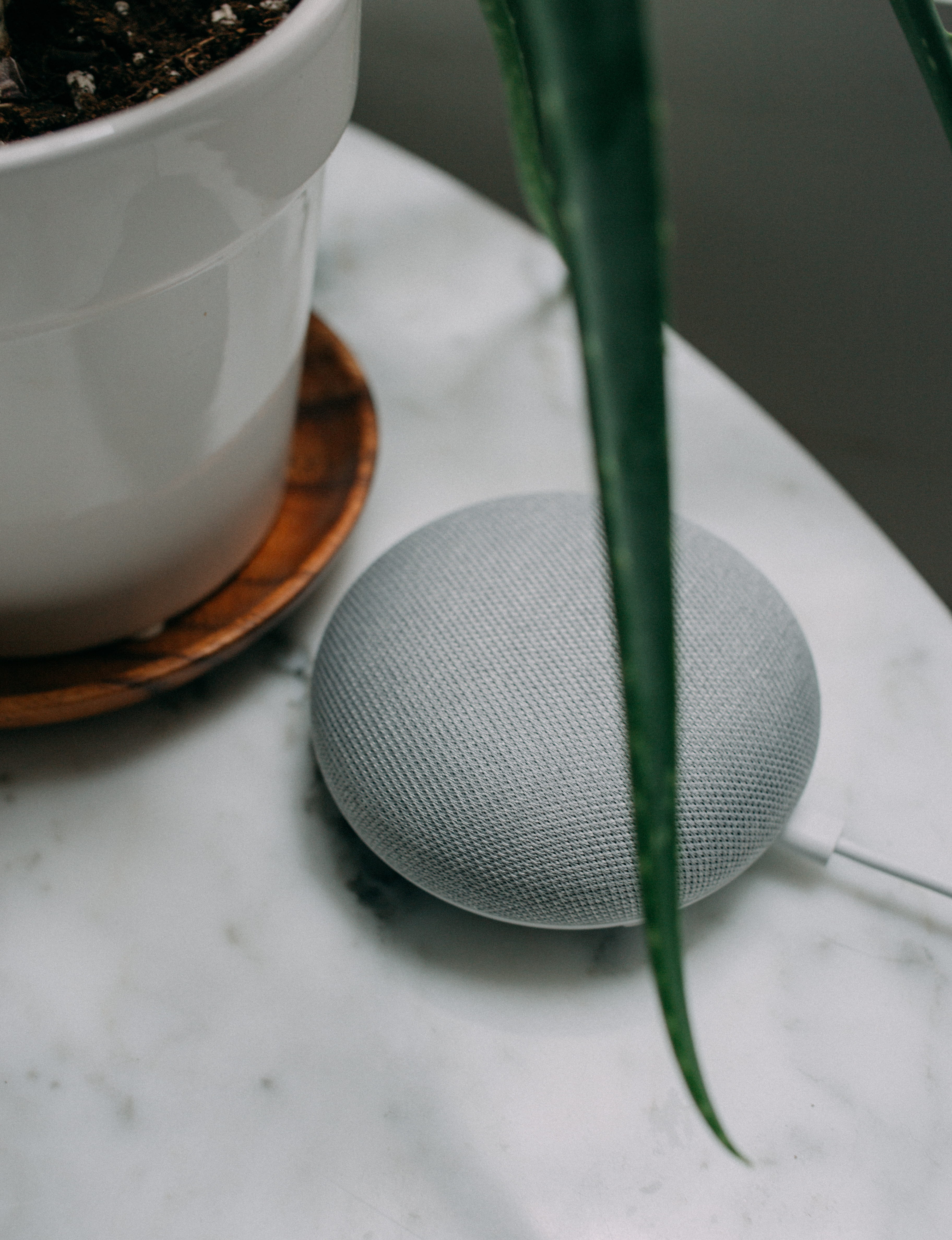 still life, 4K, surface, indoors, startup, mug, saucer, plant, chalk, speaker, mini, white color, question, technology, aloe, household equipment, refreshment, Phone HD Wallpaper