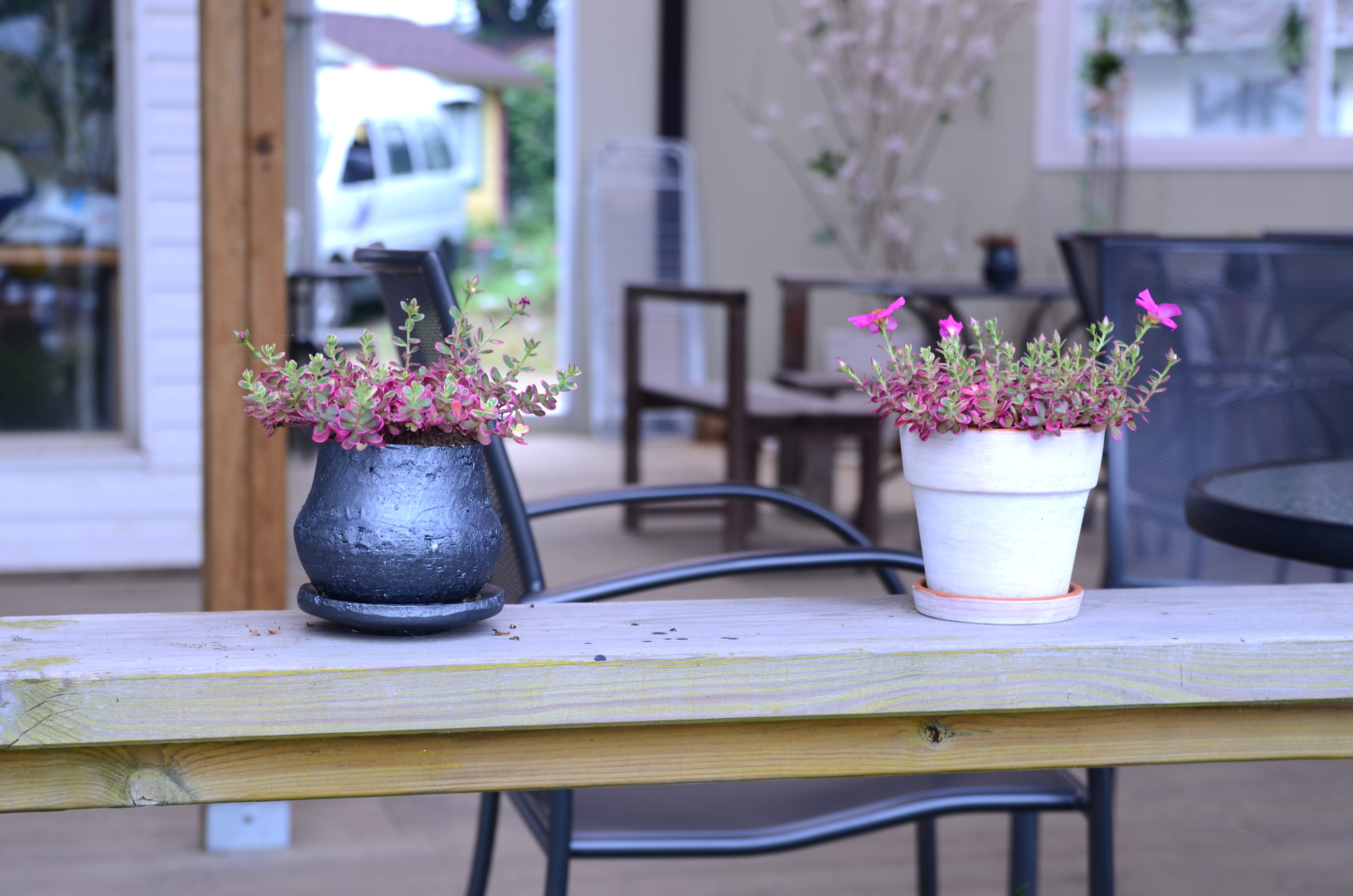 flower head, freshness, pool, day, no people, nature, table, flower, flower pot, spring, mini potted, bud, vase, flowers, tray, cafe, purple, outdoors, HD Wallpaper
