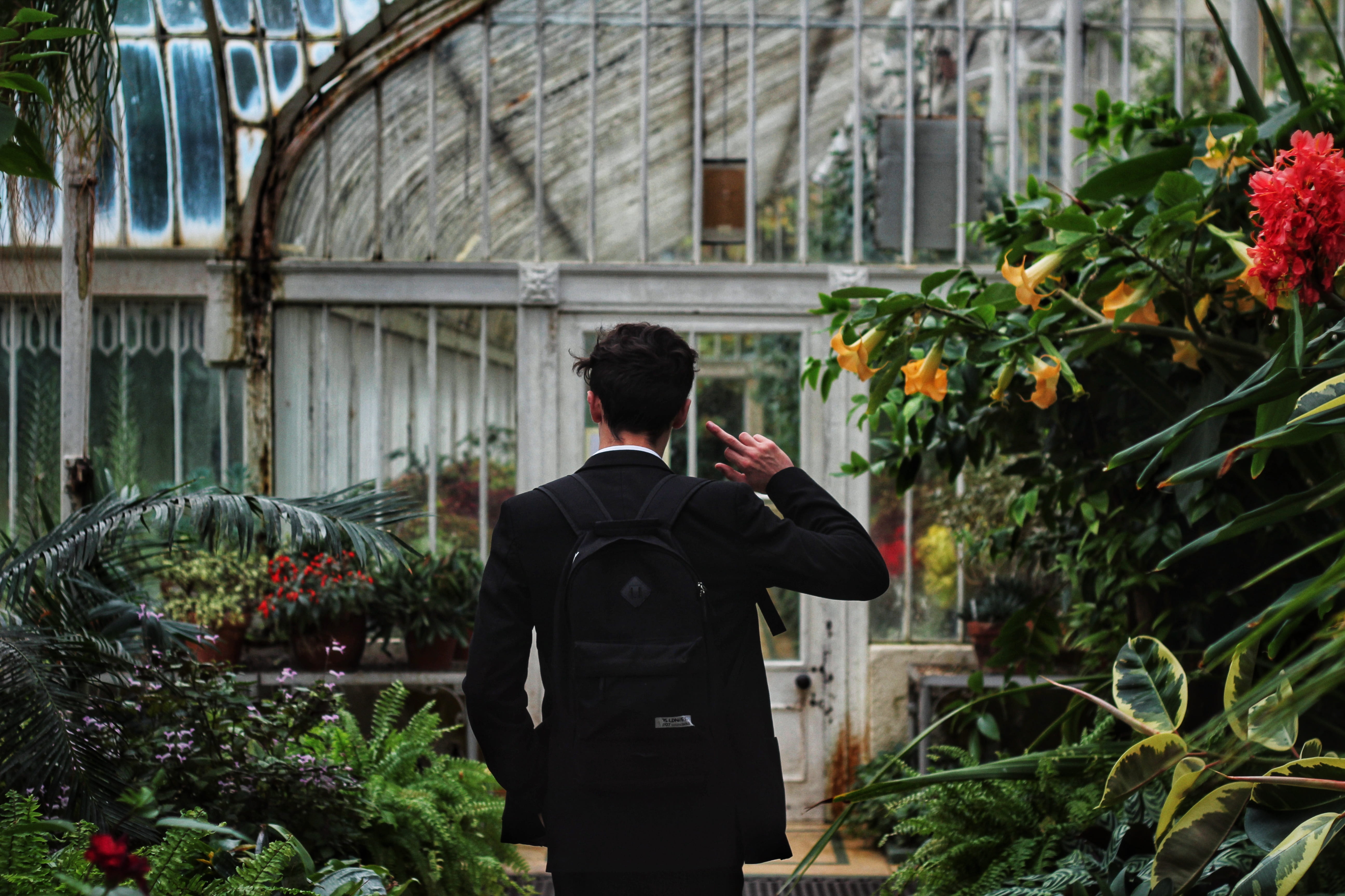 plant, real people, mobile phone, house, lifestyles, technology, showing, 5K, plants, near, architecture, day, nature, holding, built structure, one person, HD Wallpaper