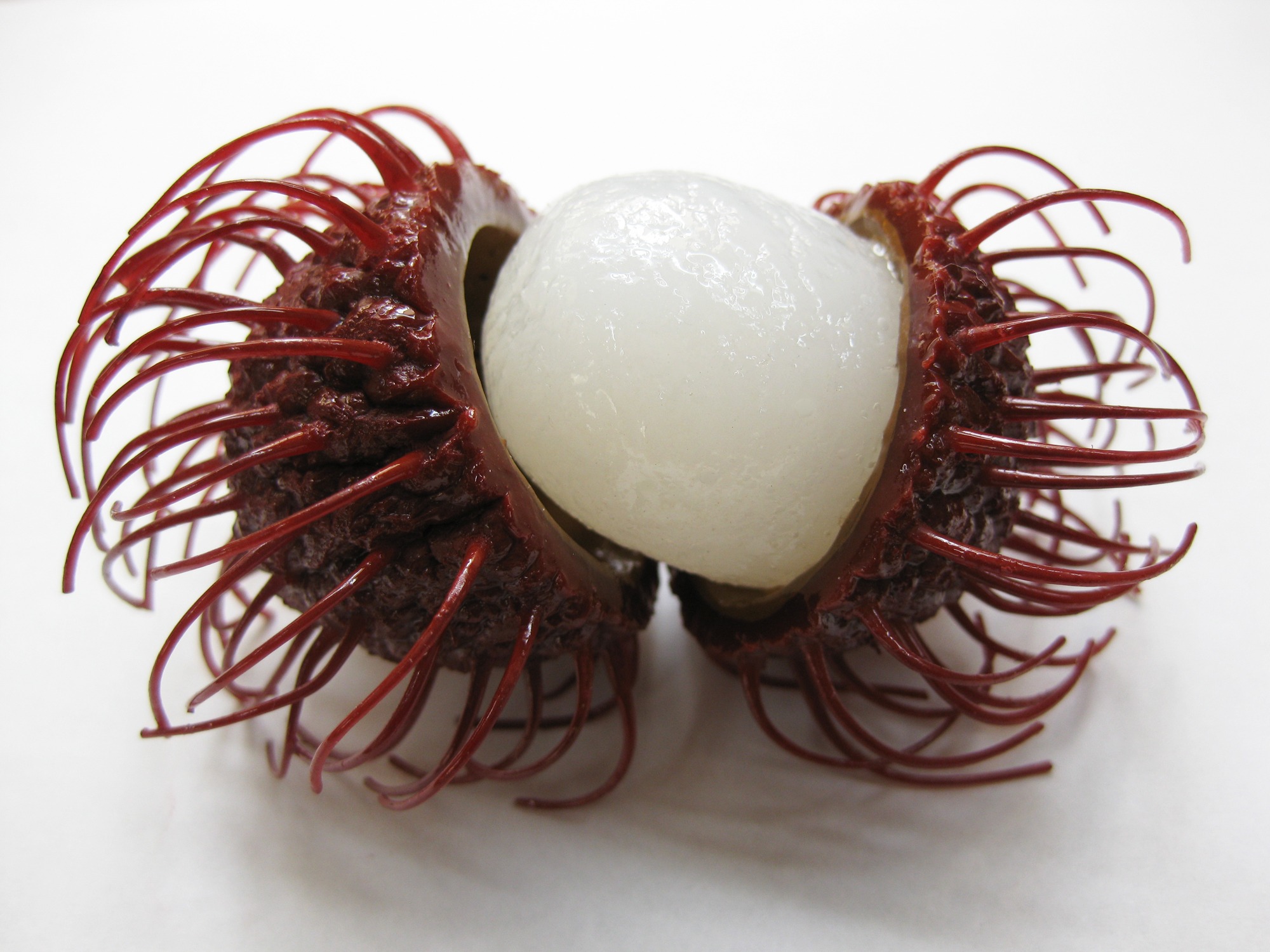 indehiscent, indoors, freshness, cut out, white, peeled rambutan, indulgence, high angle view, close-up, fleshy pliable spines, indehiscent fruit, still life, HD Wallpaper