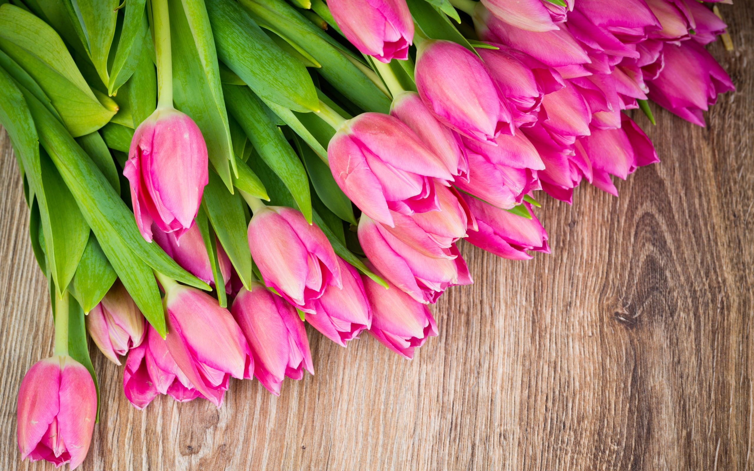 Tulips, 2K, Pink, Board, Wood, Bouquet, Flowers, HD Wallpaper