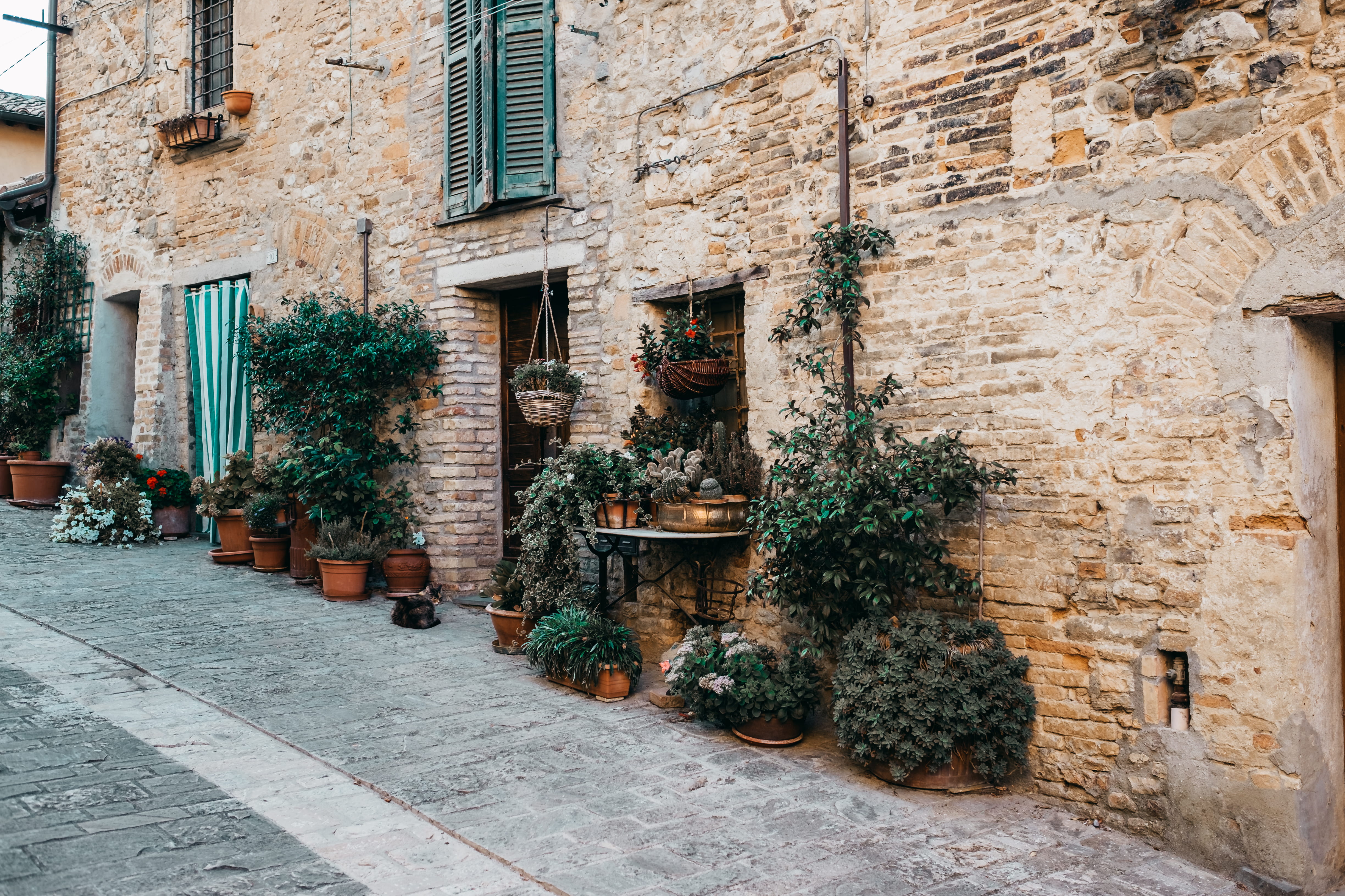 building, sculpture, growth, flowers, flagstone, potted plant, outdoors, residential district, built structure, wall - building feature, brick, path, romantic, HD Wallpaper