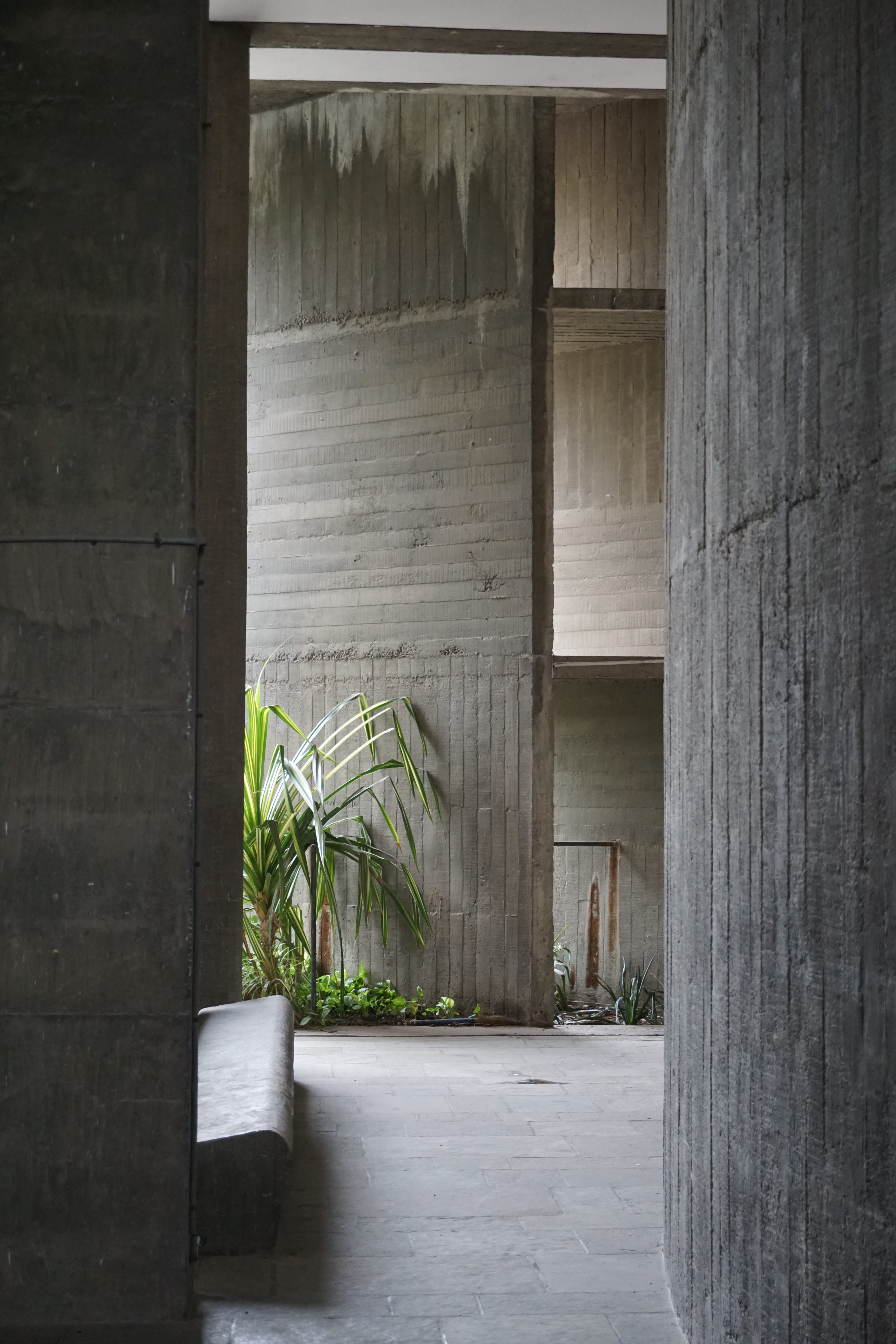 5K, ahmedabad, building, modernism, built structure, absence, le corbusier, wall - building feature, nature, concrete, potted plant, no people, empty, Phone HD Wallpaper