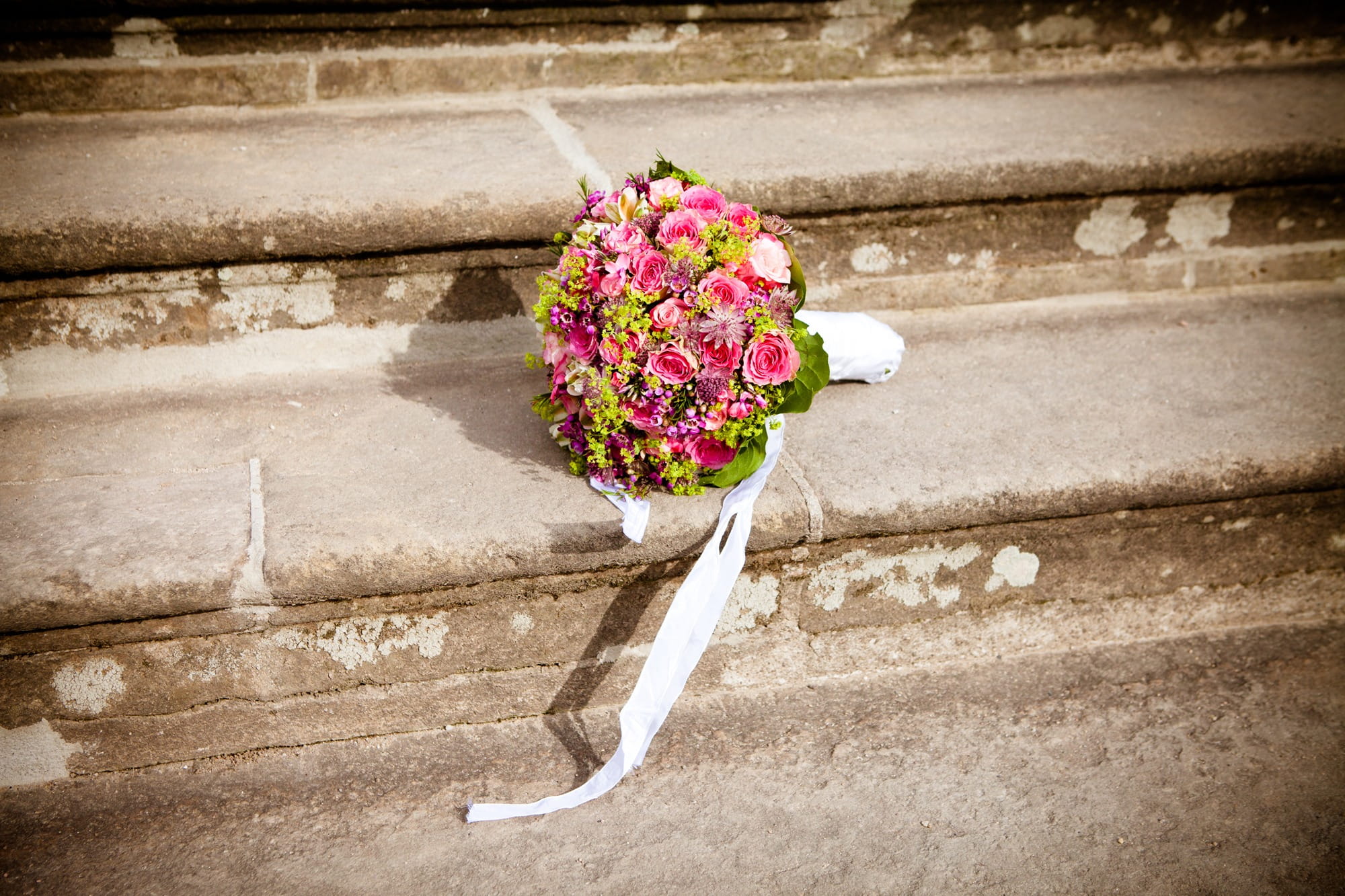 flower head, vulnerability, stairway, flower pot, plant, fragility, flowering plant, flower, concrete, outdoors, petal, staircase, day, no people, freshness, HD Wallpaper