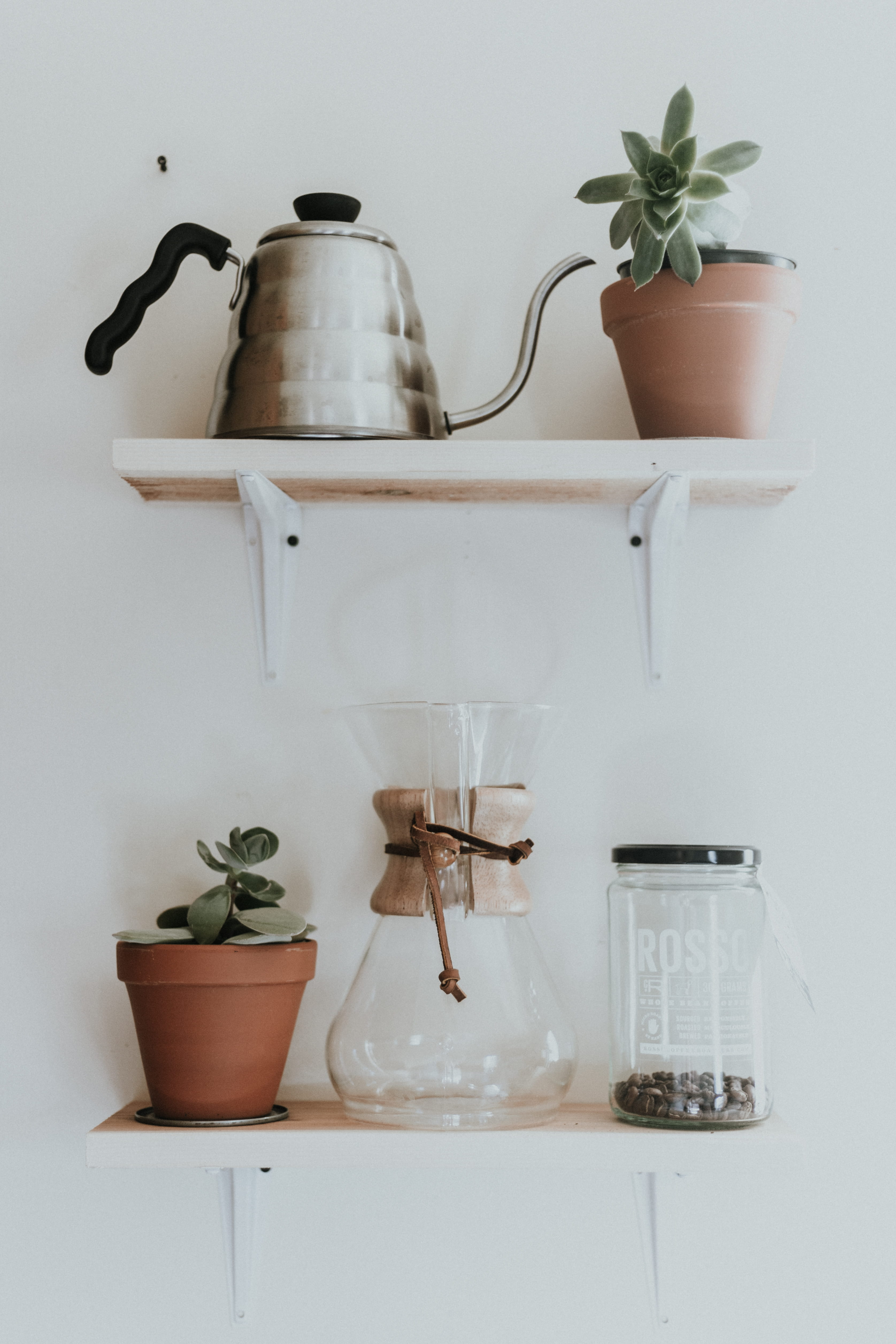 white, bean, watering can, cup, 4K, container, pour spout, growth, jar, glass, painted, bracket, gray, kettle, still life, indoors, rack, plant, flower, Phone HD Wallpaper