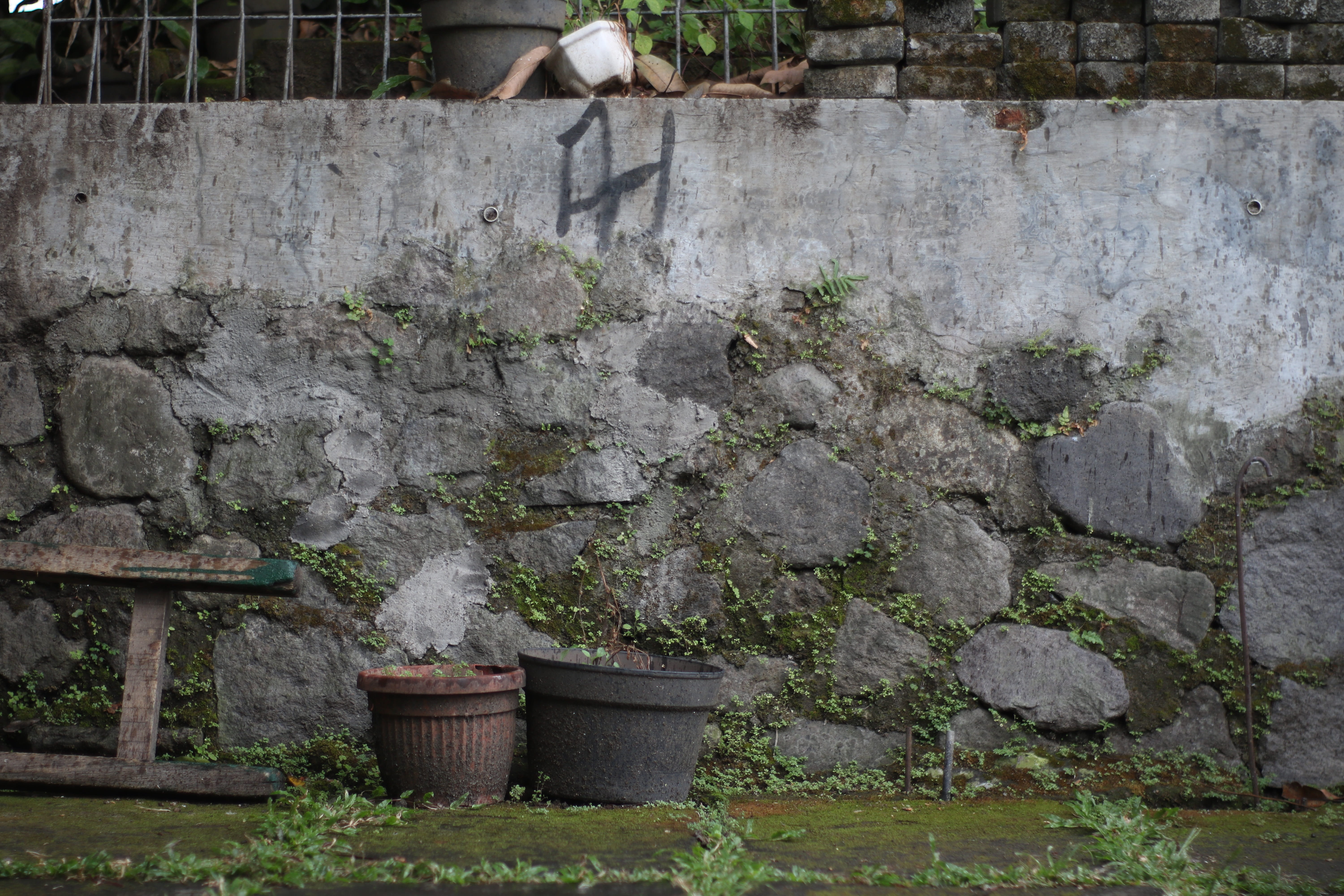 building exterior, nature, well, outdoors, stone, wall, front or back yard, solid, footpath, cement, concrete, 5K, growth, no people, plant, flower pot, HD Wallpaper