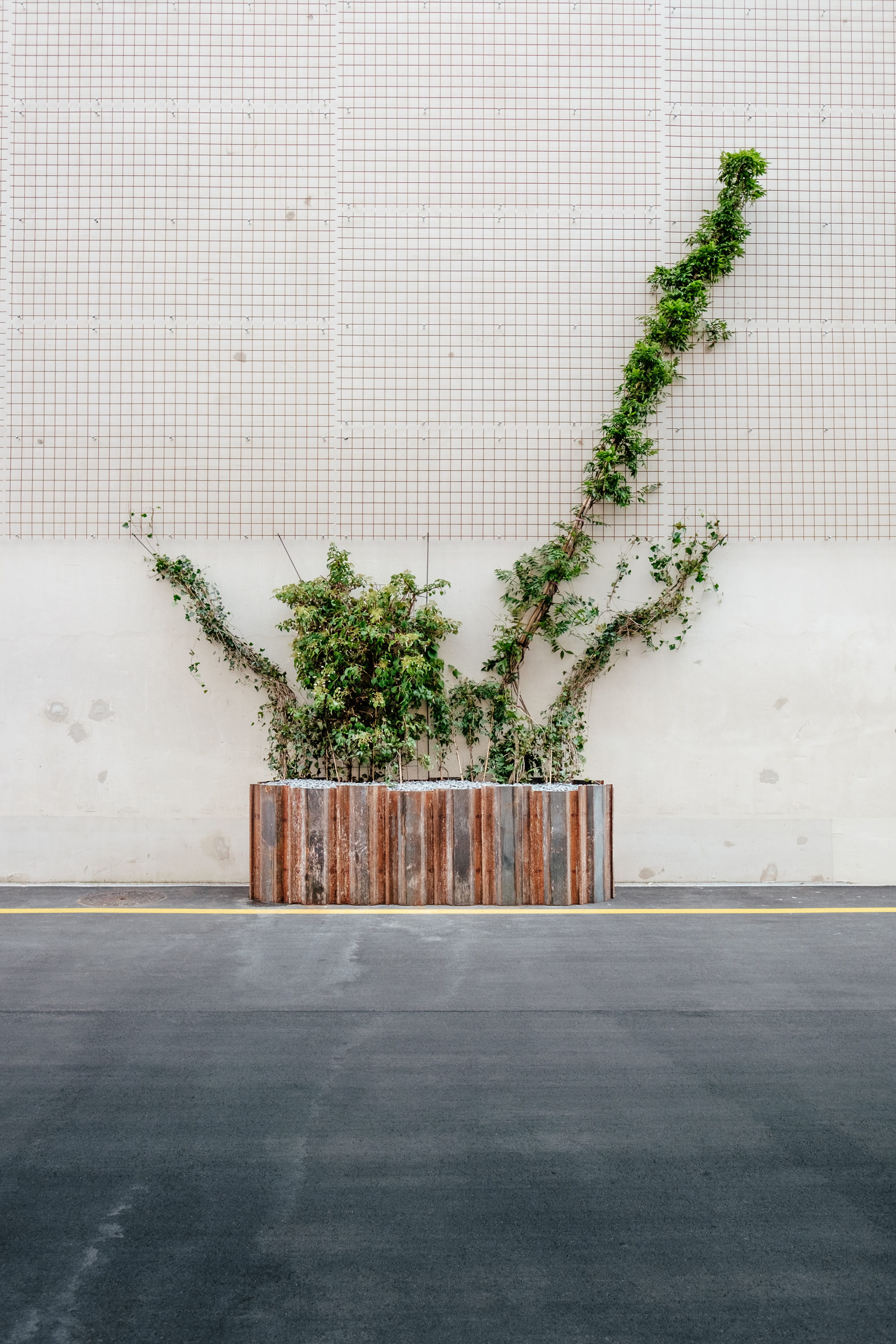 urban, wall - Building Feature, building exterior, tree, plant, no People, city, potted, road, street, building, growth, green color, day, architecture, Phone HD Wallpaper