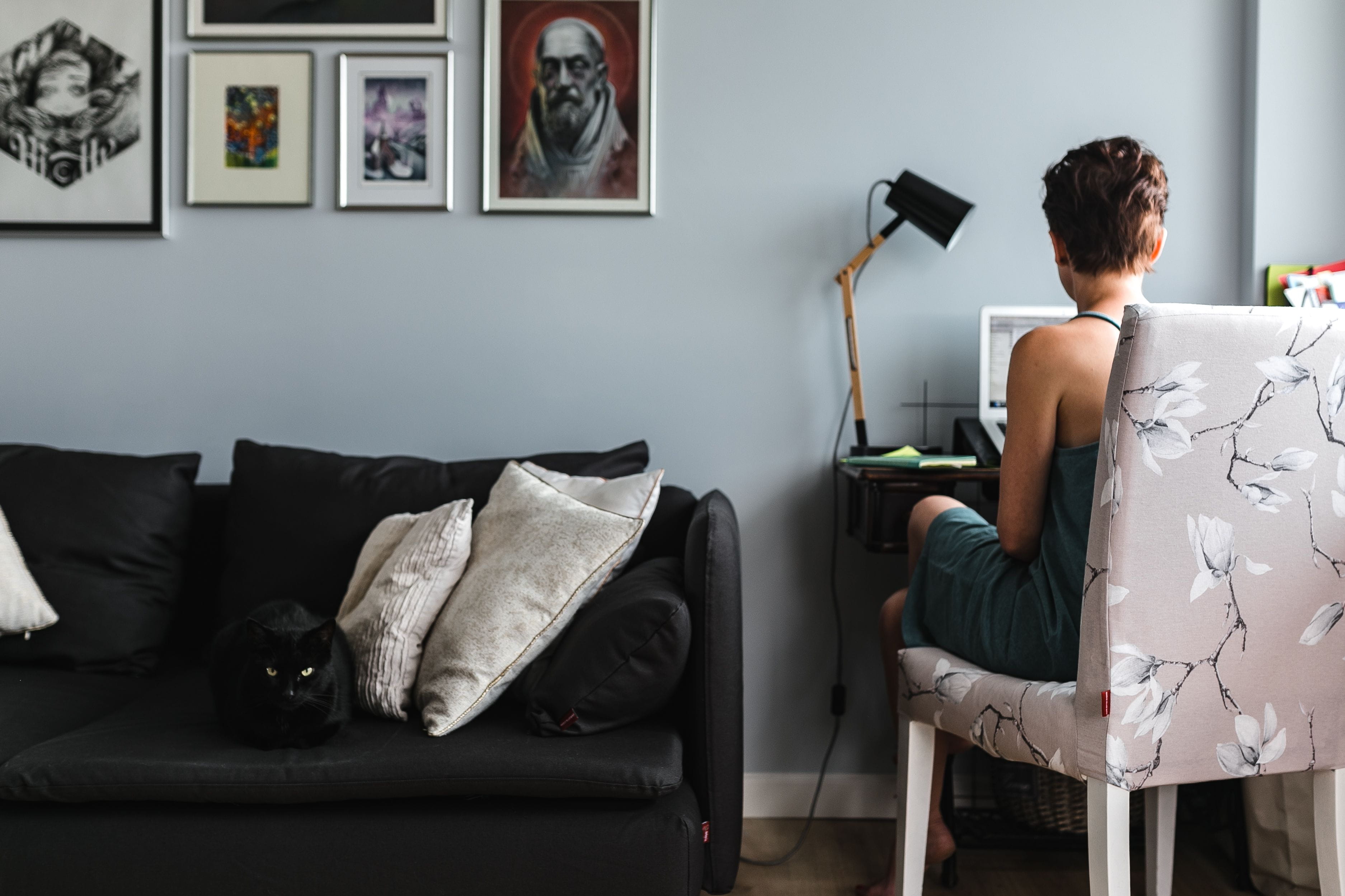 workplace, decorations, lounge, caucasian Ethnicity, household Equipment, animal, contemplation, workspace, picture frame, relaxation, physical Position, HD Wallpaper
