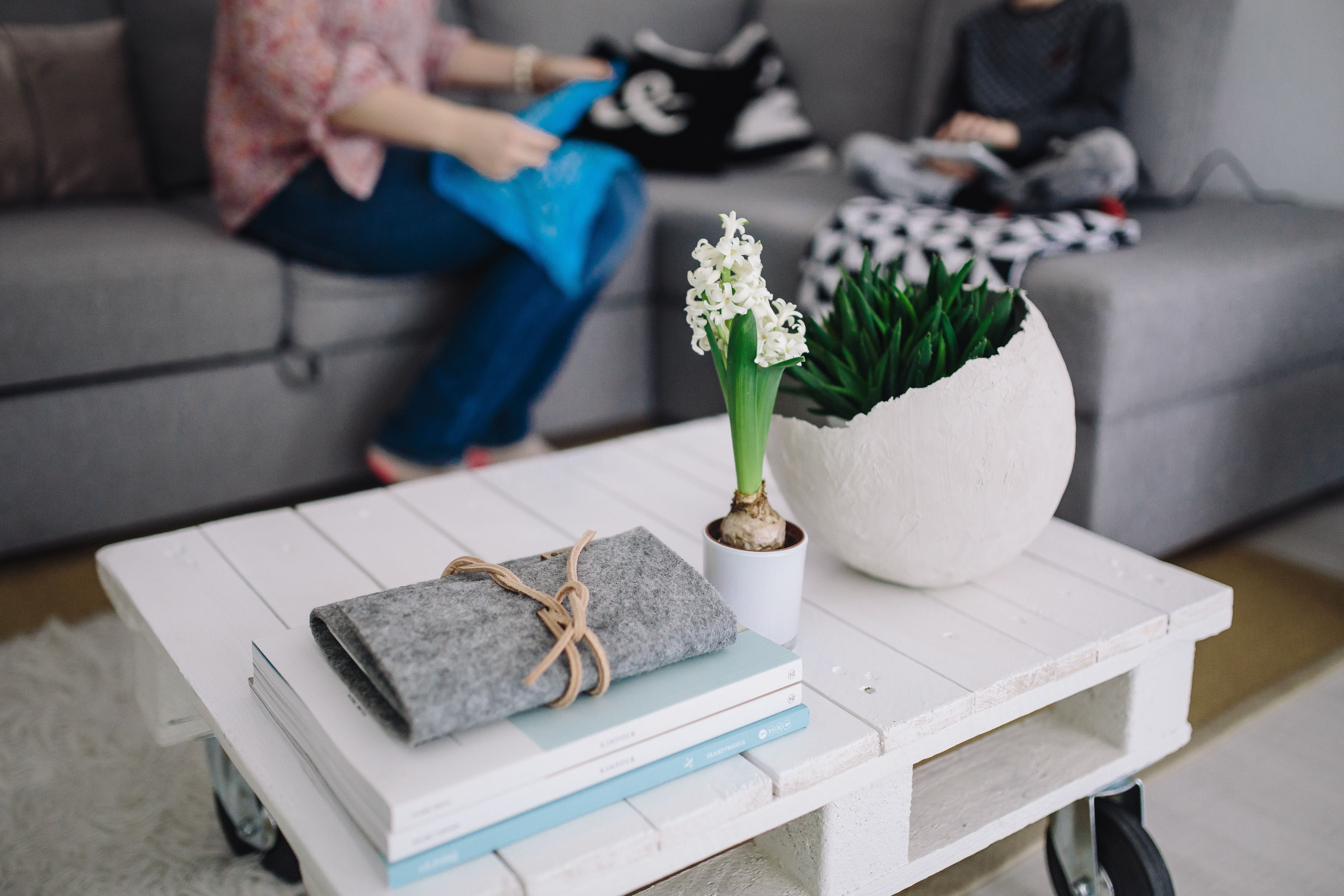 living Room, potted plant, one person, adult, potted, wooden, leisure activity, industry, Small, people, gardening, wallet, domestic Room, home Interior, HD Wallpaper