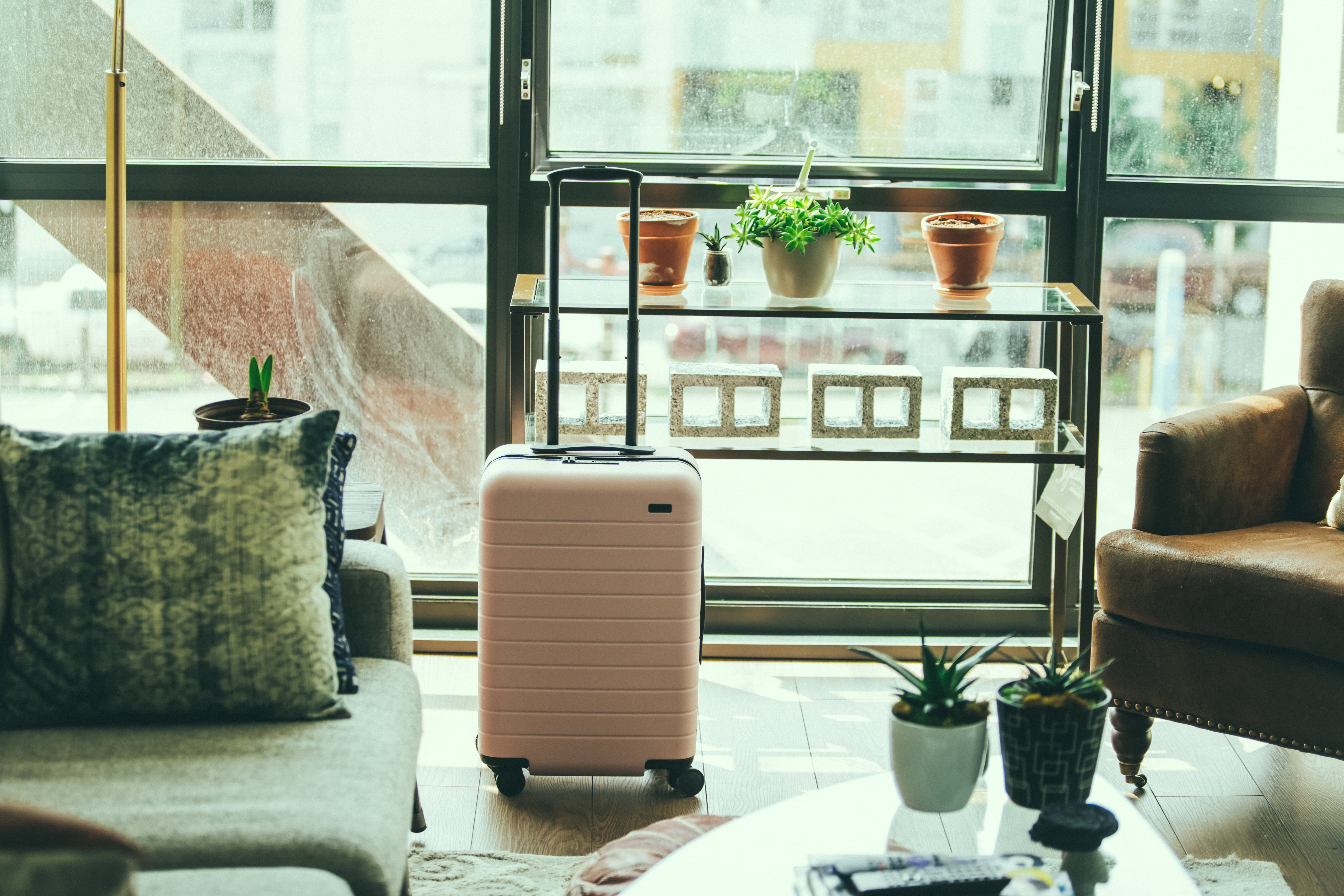rug, cushion, living room, armchair, table, potted plant, indoors, inside, window, glass - material, pots, absence, room, interior, plant, sofa, furniture, HD Wallpaper